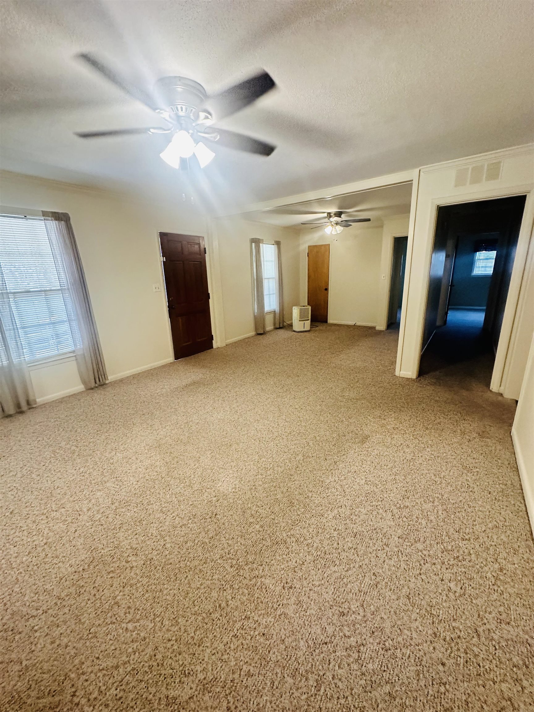 3796 Co Rd 217, Trinity, AL 35673 — photo 11