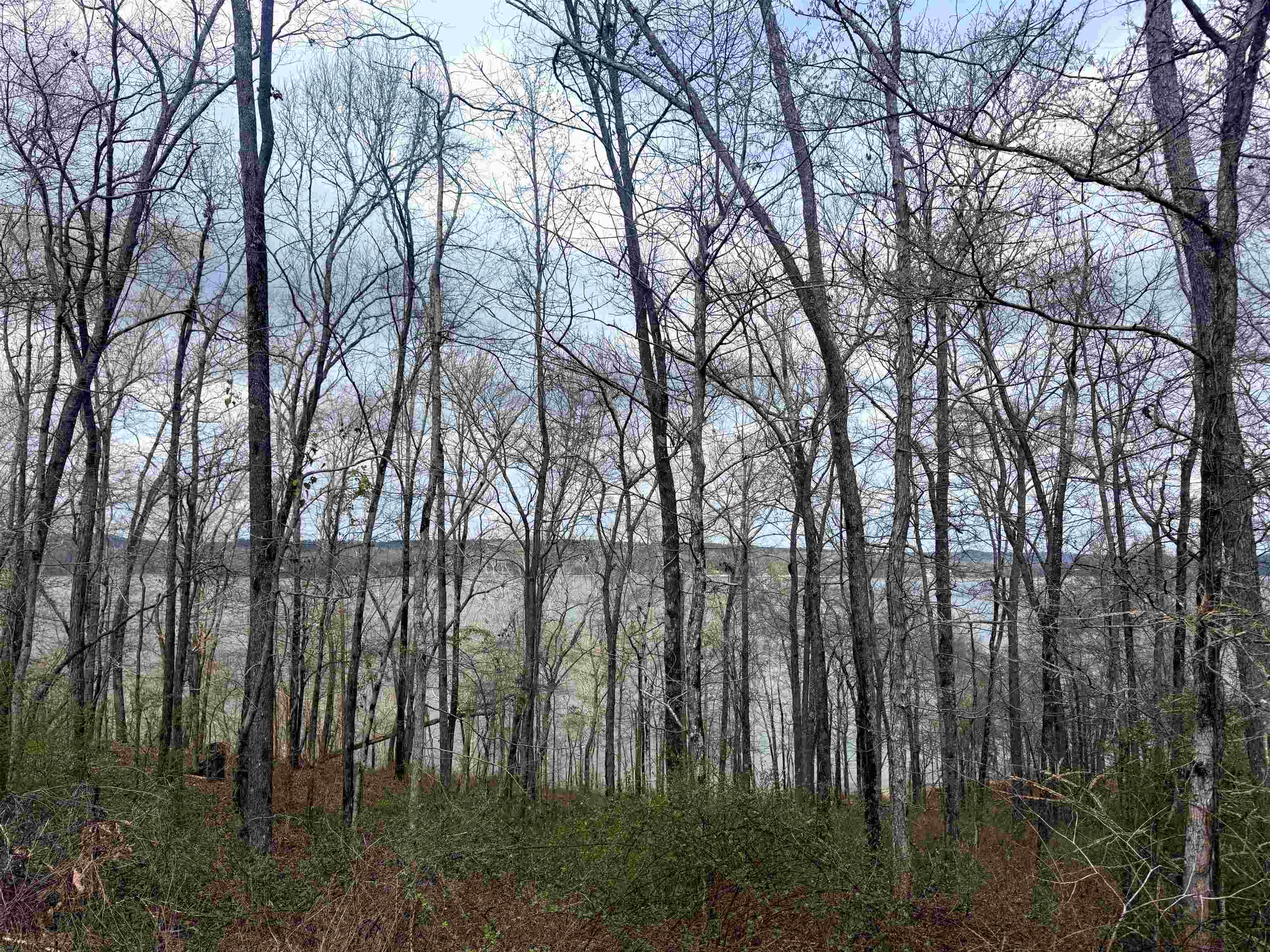 Lot 37&38 Imperial Lp, Cherokee, AL 35616 — photo 1