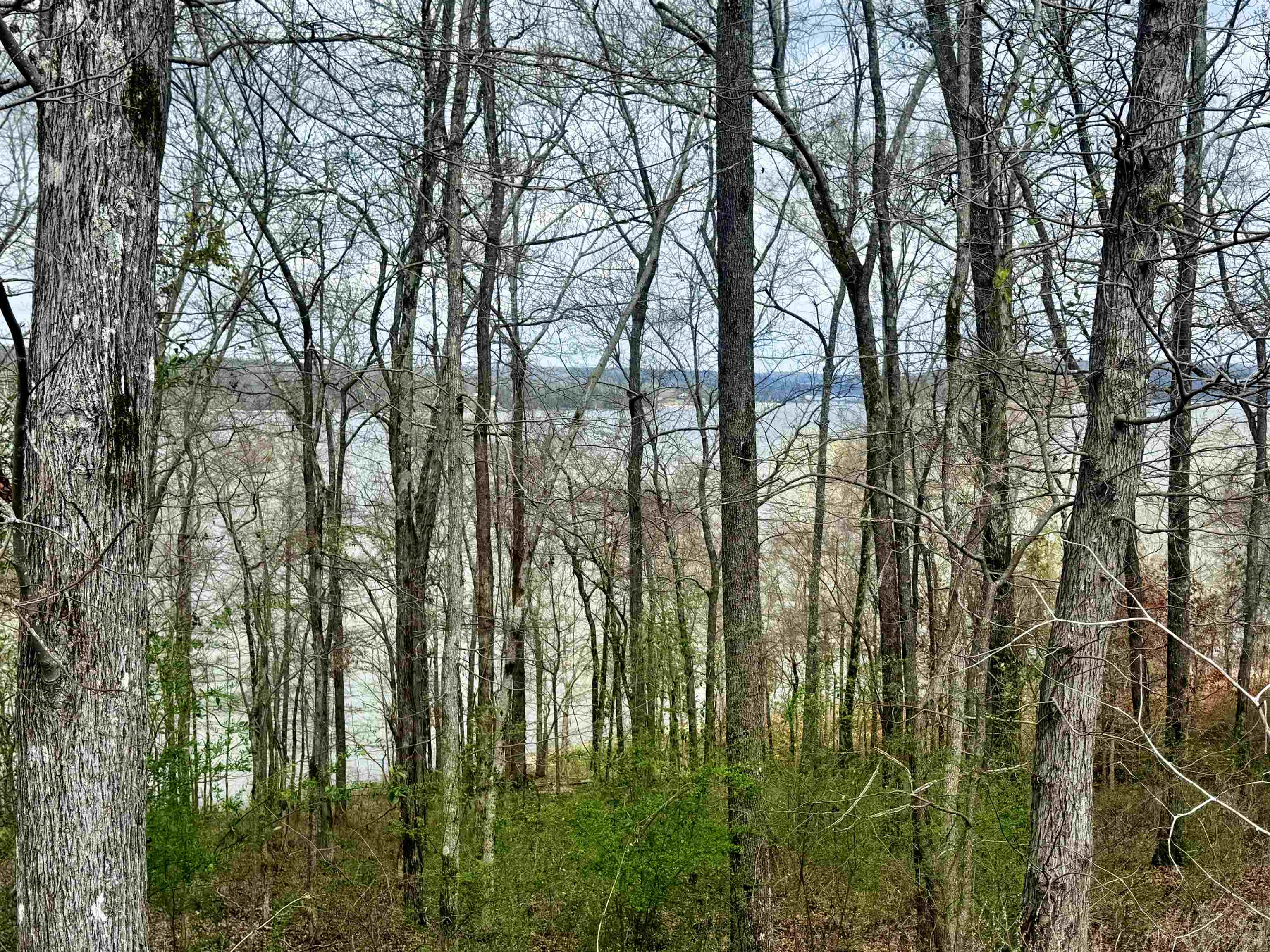 Lot 37&38 Imperial Lp, Cherokee, AL 35616 — photo 2
