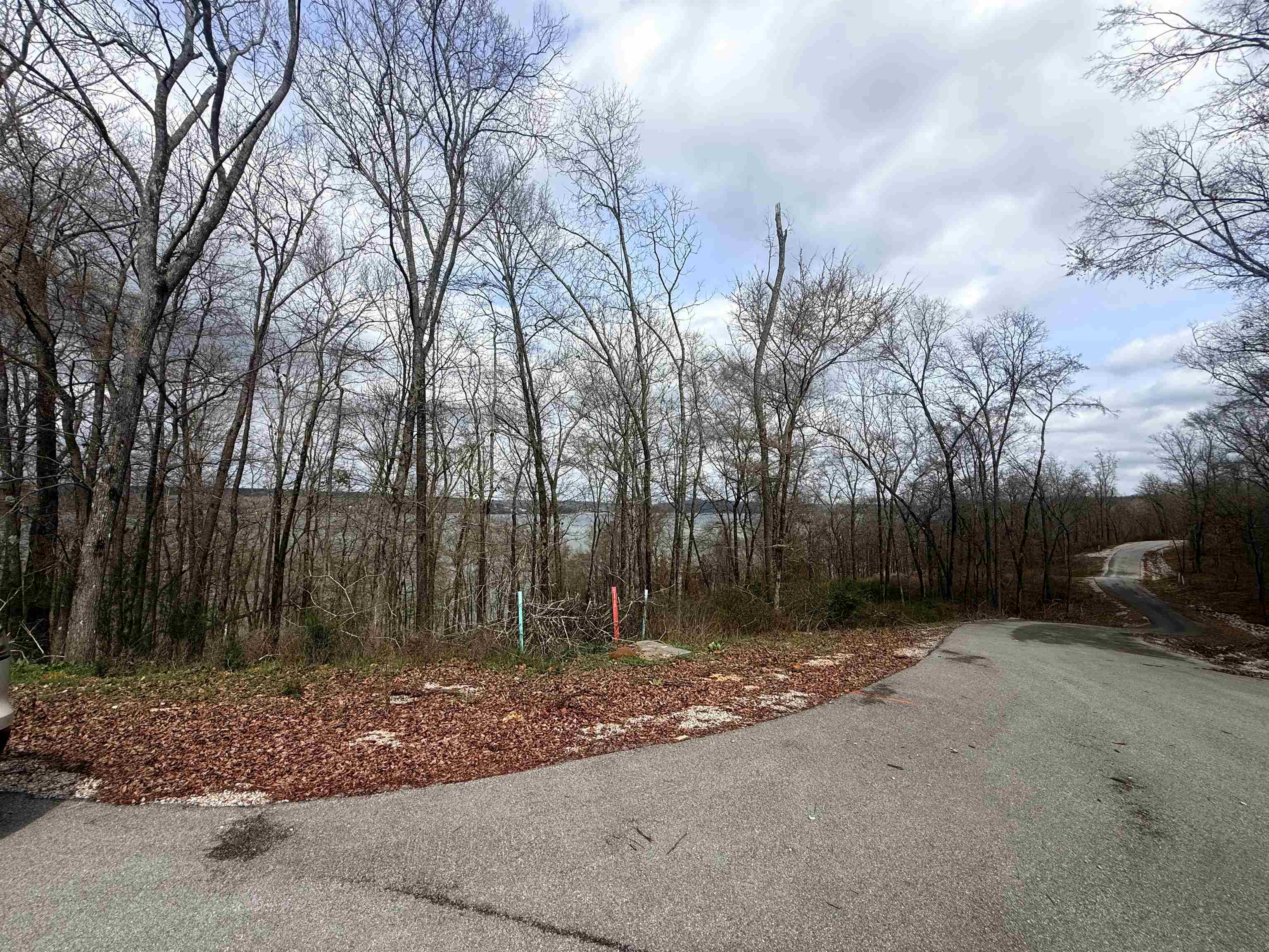 Lot 37&38 Imperial Lp, Cherokee, AL 35616 — photo 3