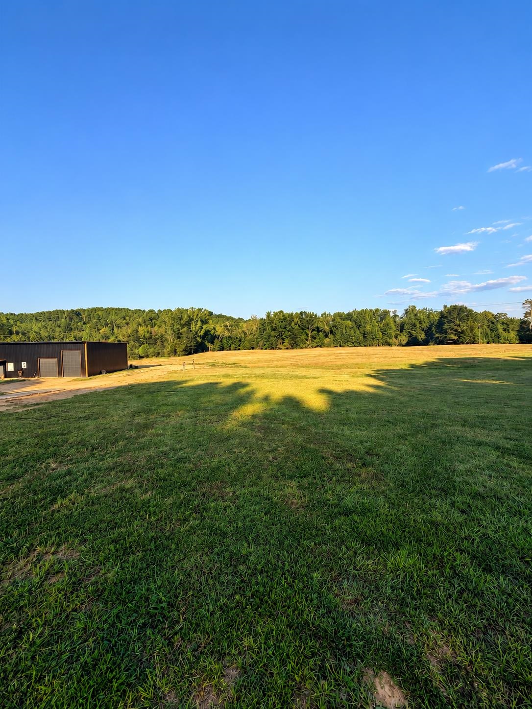 874 Co Hwy 329, Hamilton, AL 35570 — photo 11