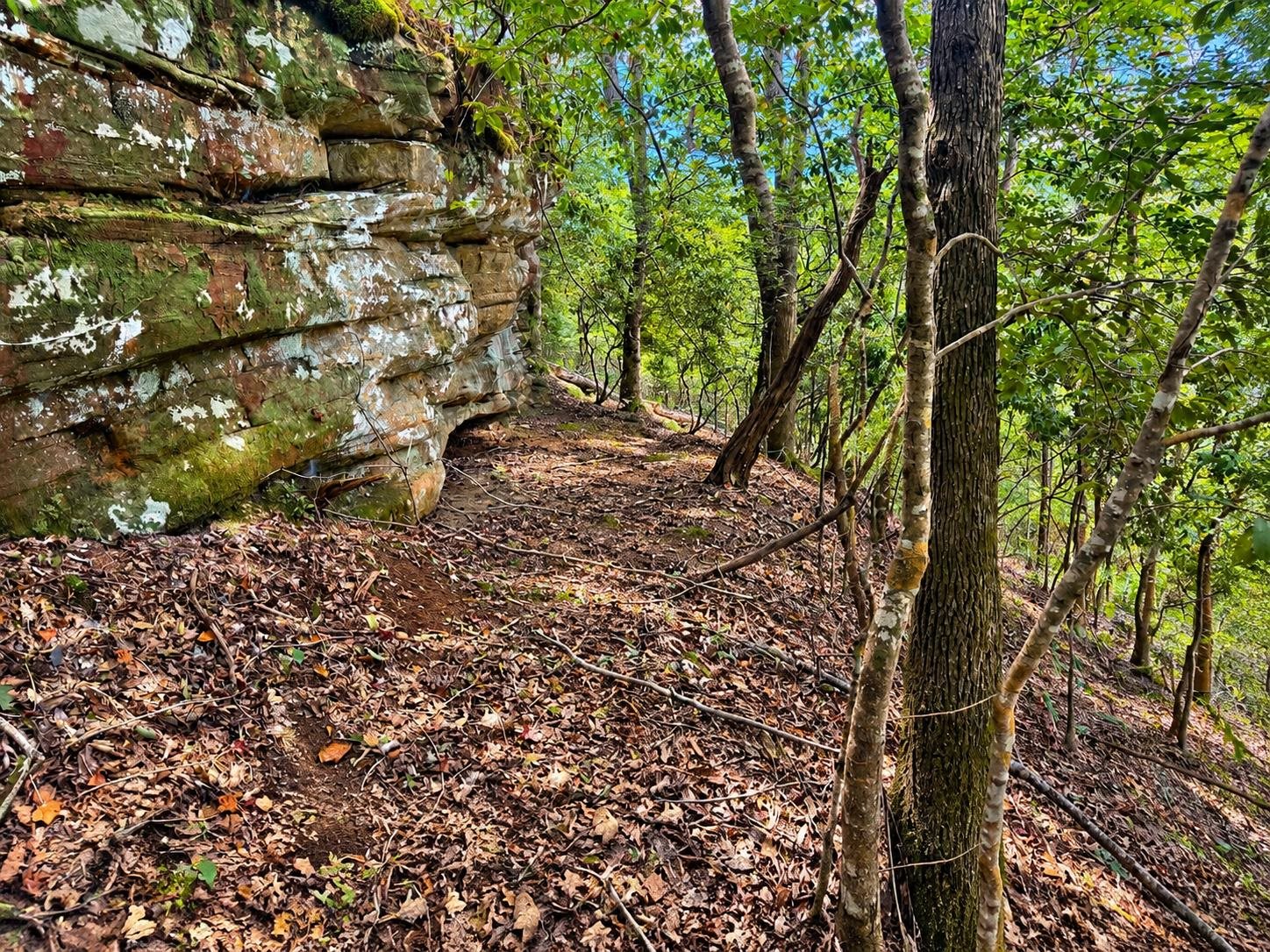 874 Co Hwy 329, Hamilton, AL 35570 — photo 12