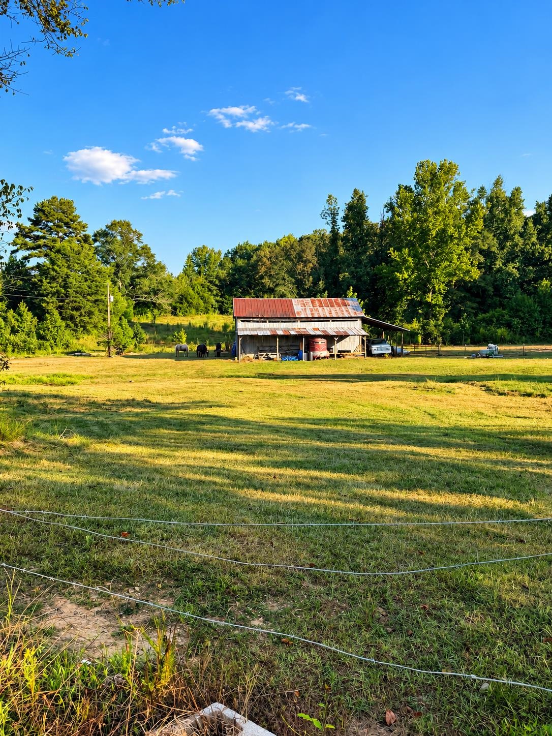 874 Co Hwy 329, Hamilton, AL 35570 — photo 7