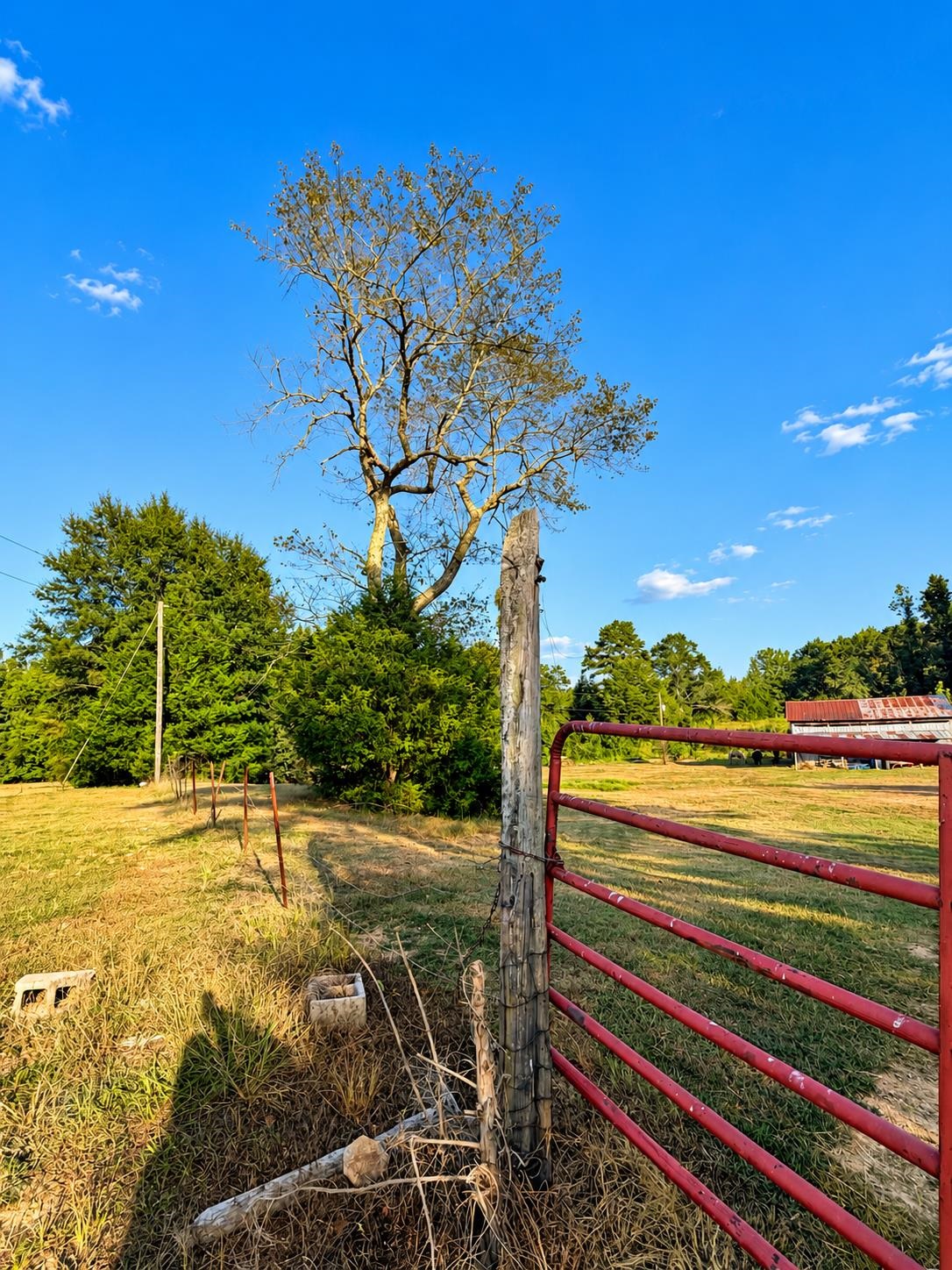 874 Co Hwy 329, Hamilton, AL 35570 — photo 8
