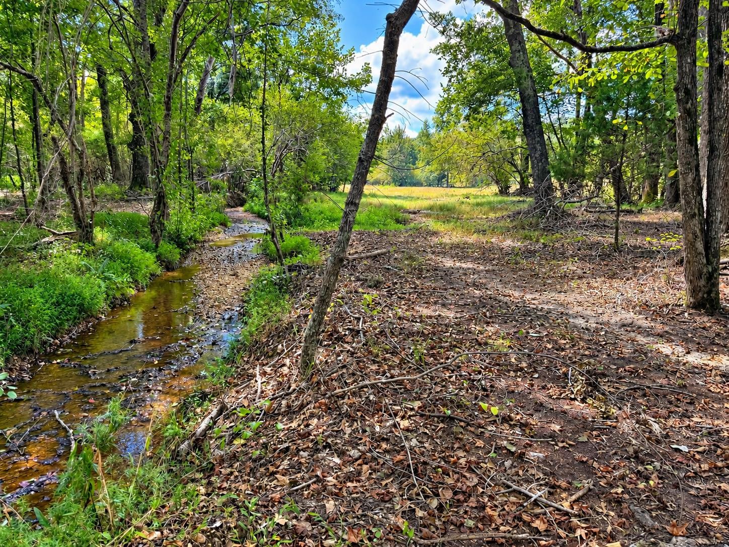 874 Co Hwy 329, Hamilton, AL 35570 — photo 9