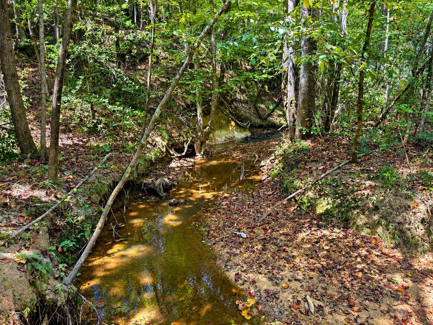874 Co Hwy 329, Hamilton, AL 35570 — photo 10
