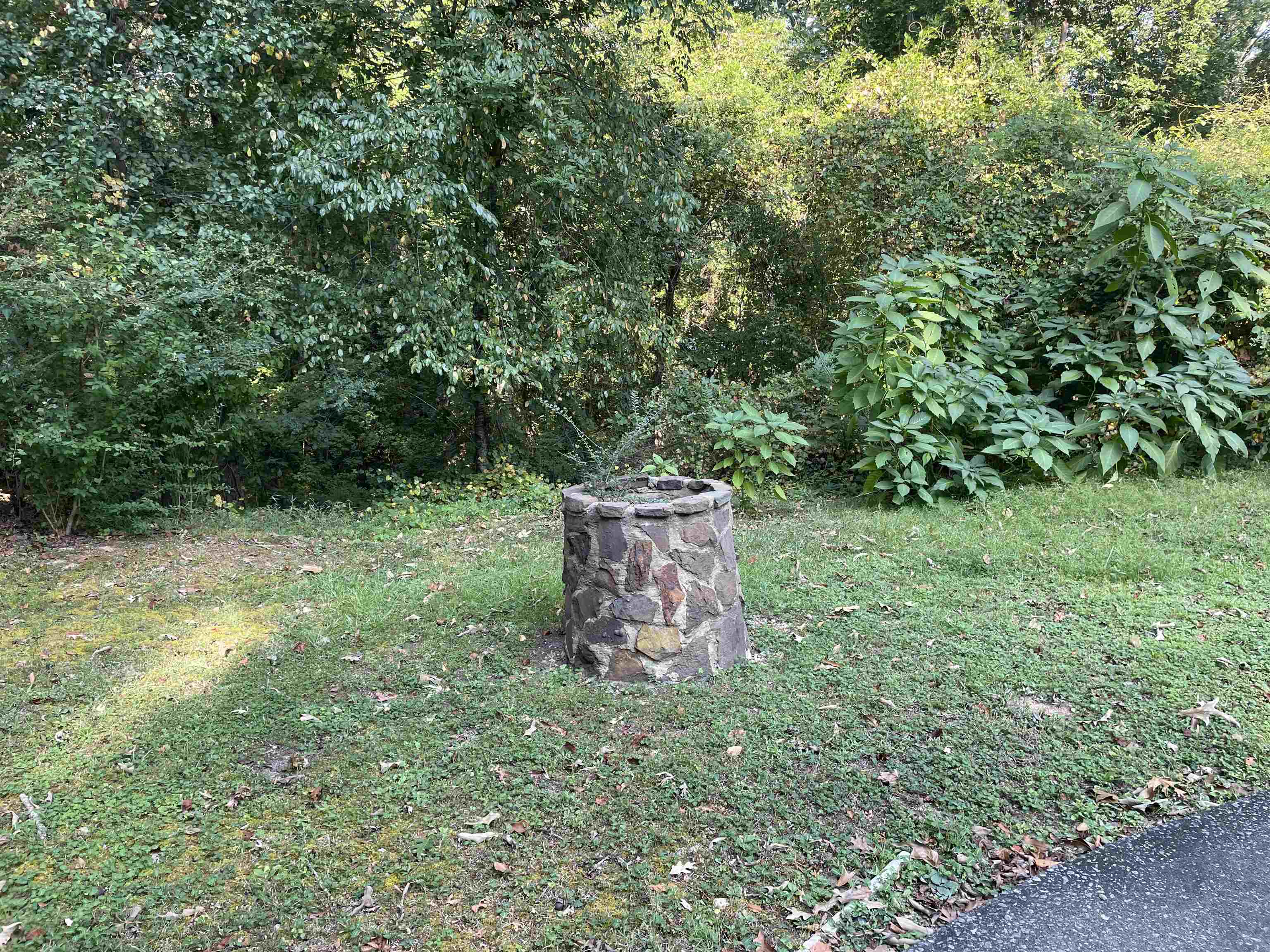 6445 Co Rd 69, Guin, AL 35563 — photo 12