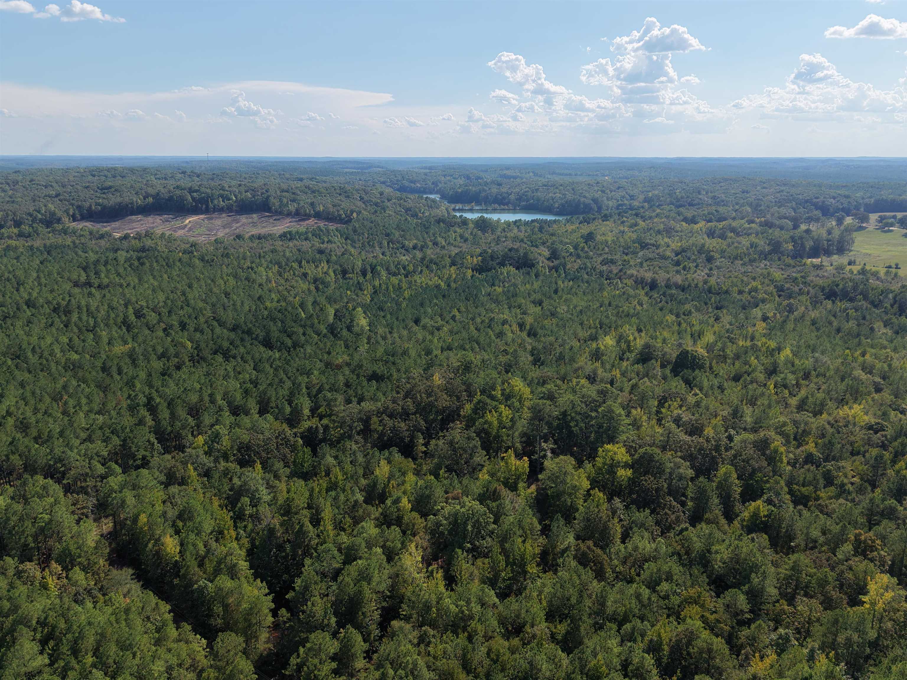 0 Glass Rd, Sulligent, AL 35586 — photo 1
