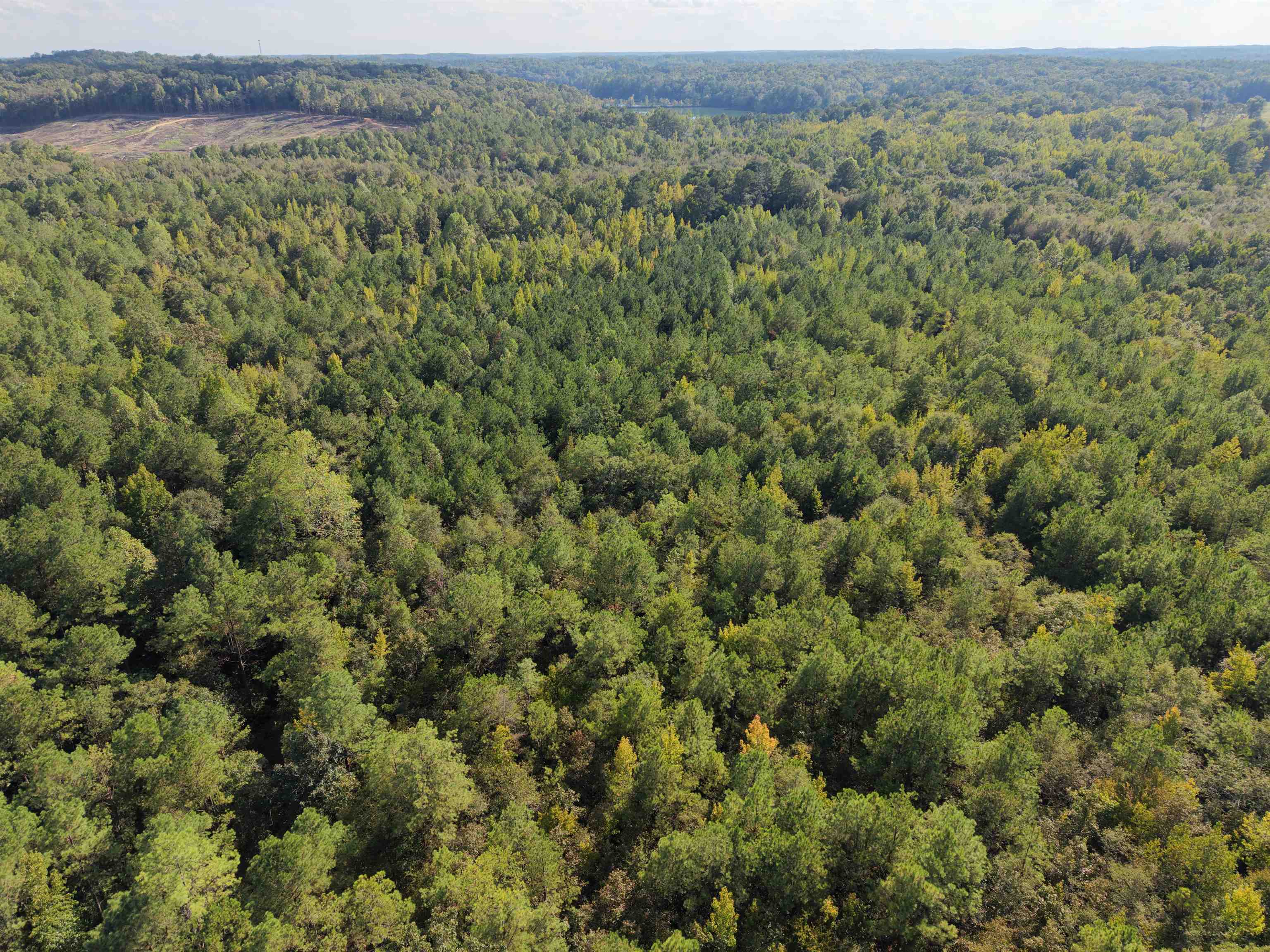 0 Glass Rd, Sulligent, AL 35586 — photo 2