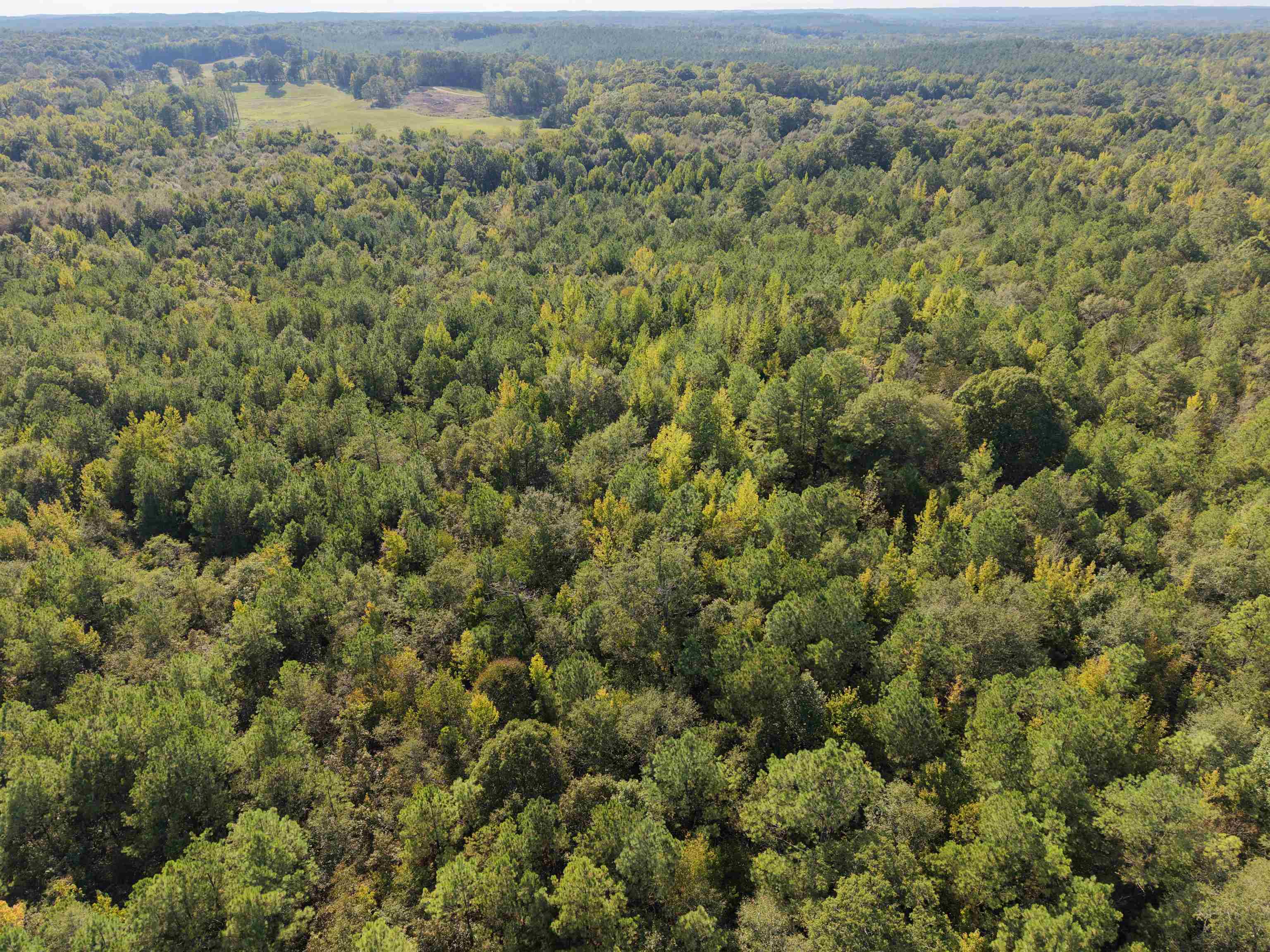 0 Glass Rd, Sulligent, AL 35586 — photo 3