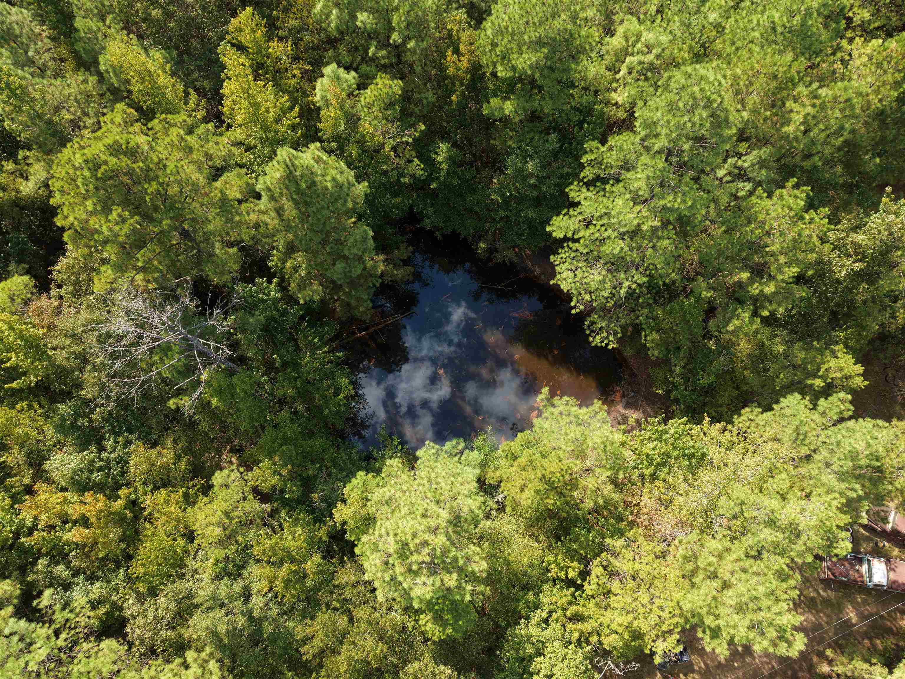 0 Glass Rd, Sulligent, AL 35586 — photo 4