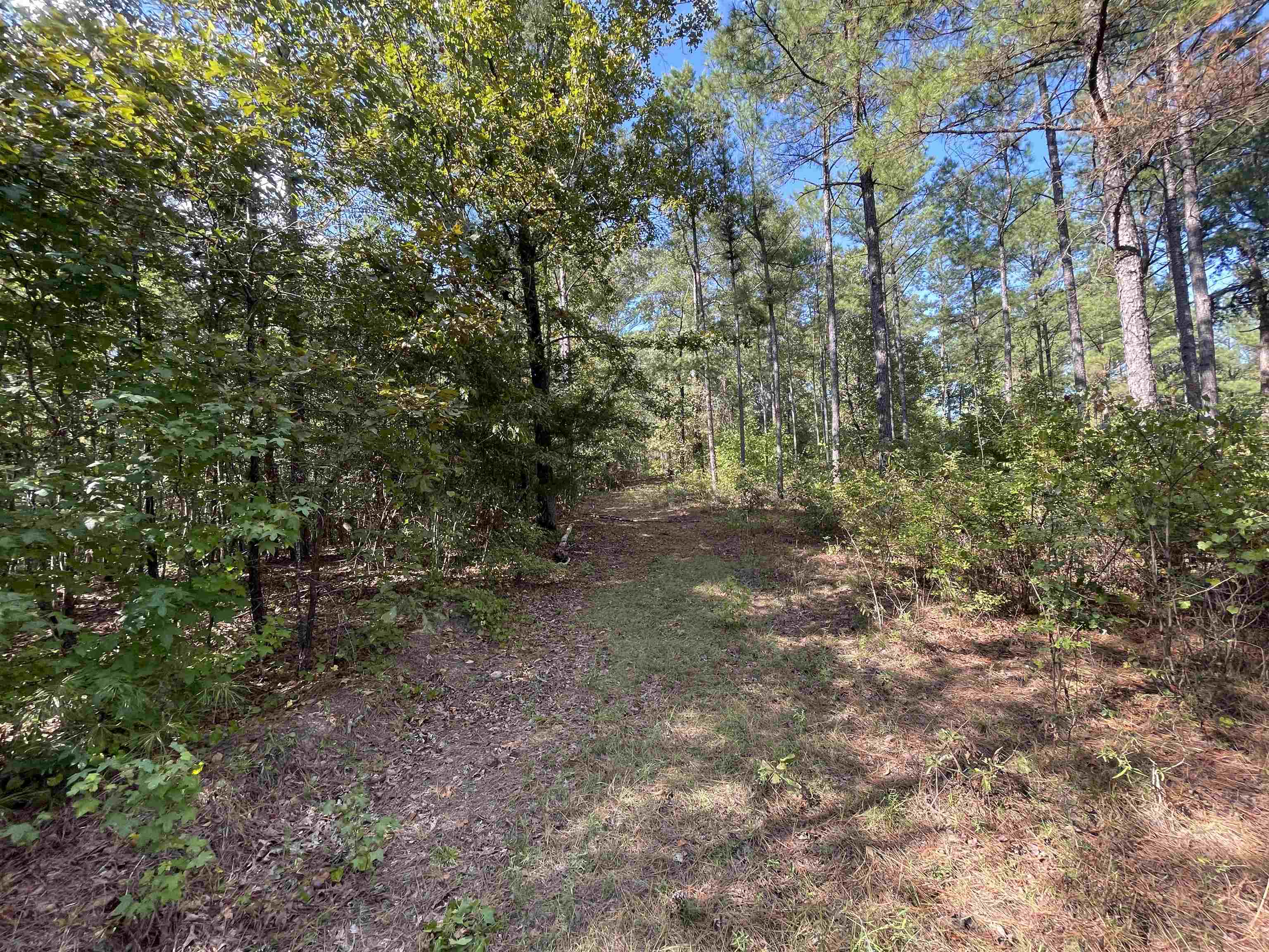 0 Glass Rd, Sulligent, AL 35586 — photo 9