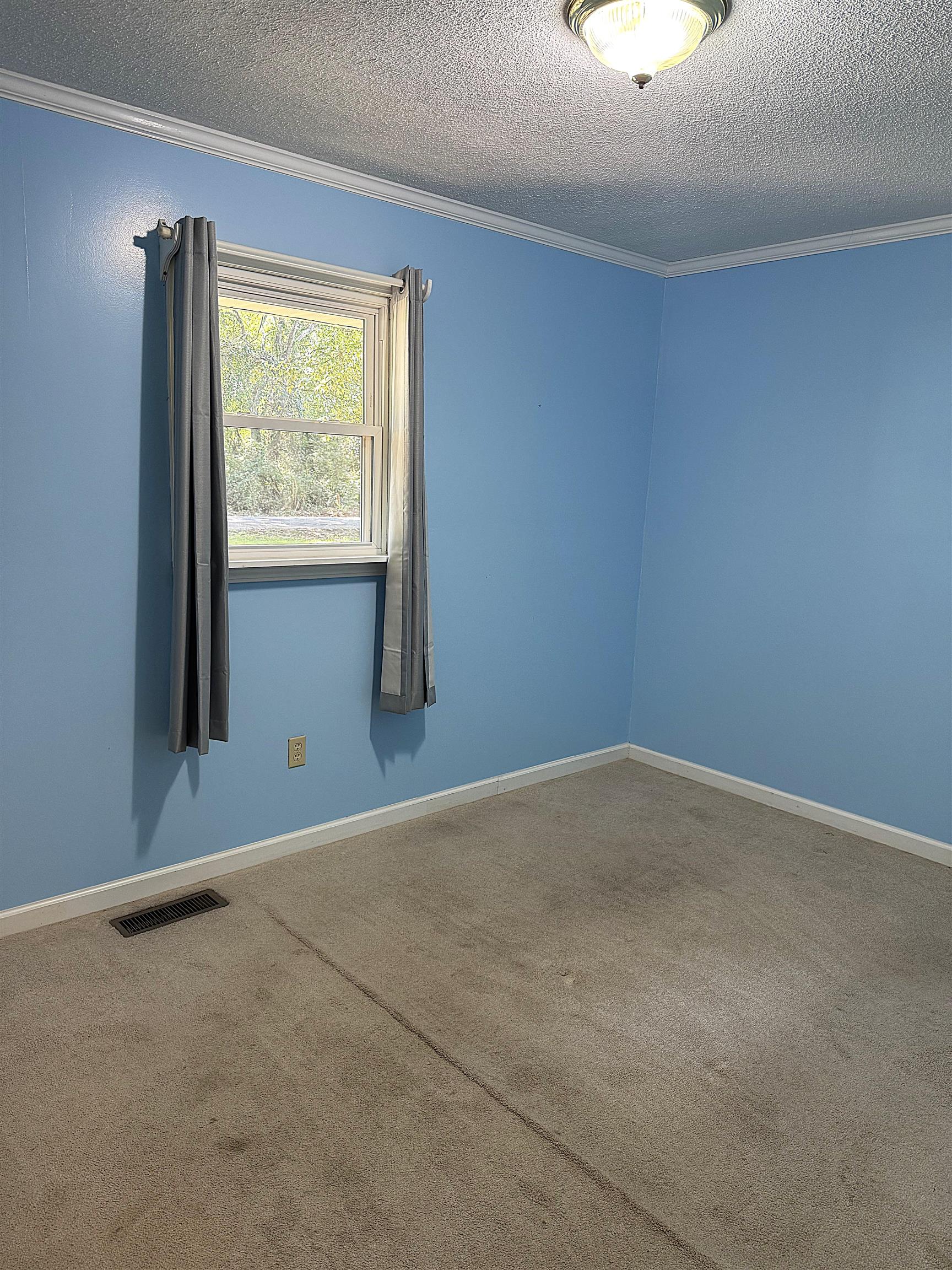 205 Maple St, Tuscumbia, AL 35674 — photo 11