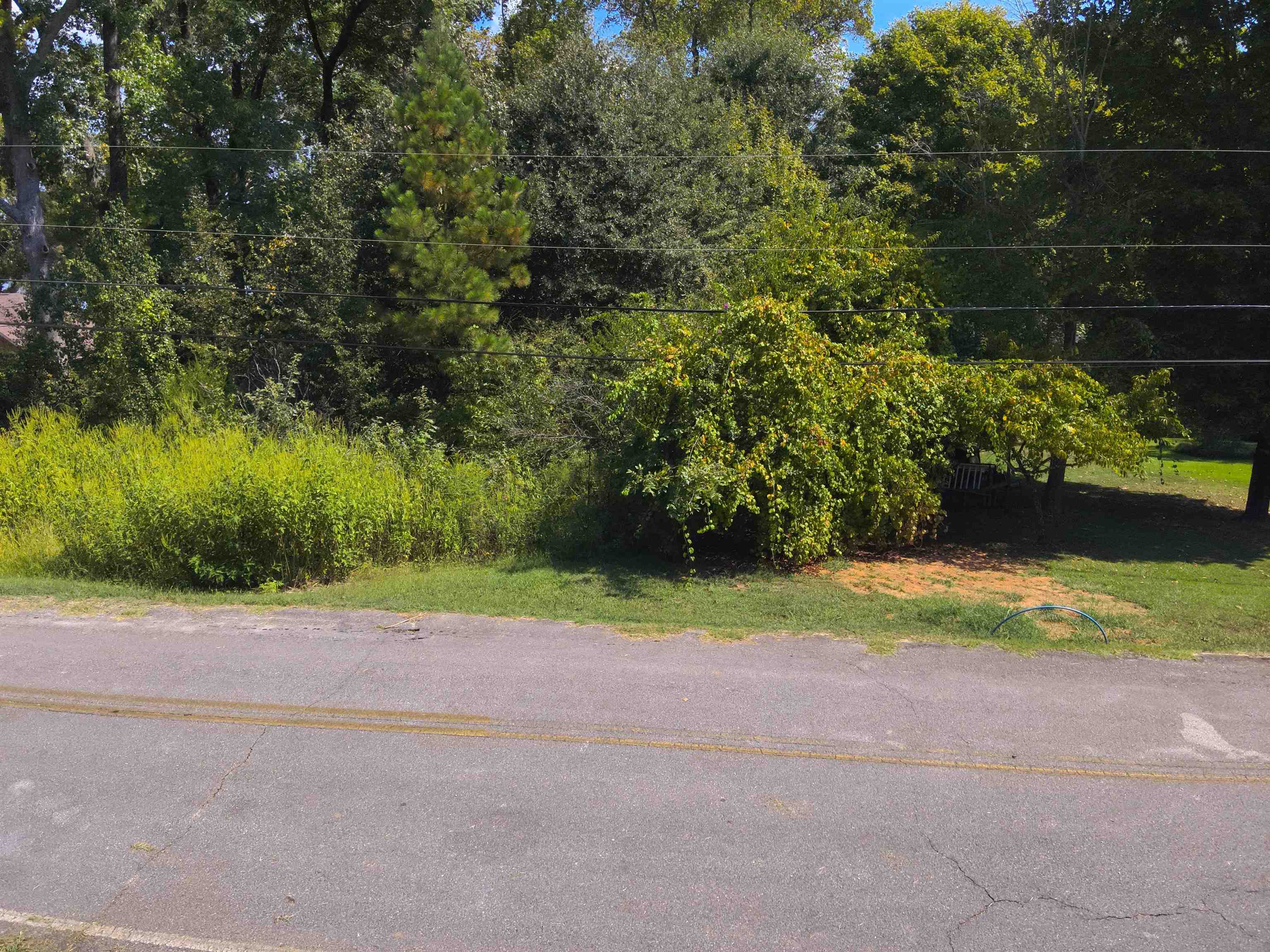 Lot 32 Lakeshore Dr, Muscle Shoals, AL 35661 — photo 5