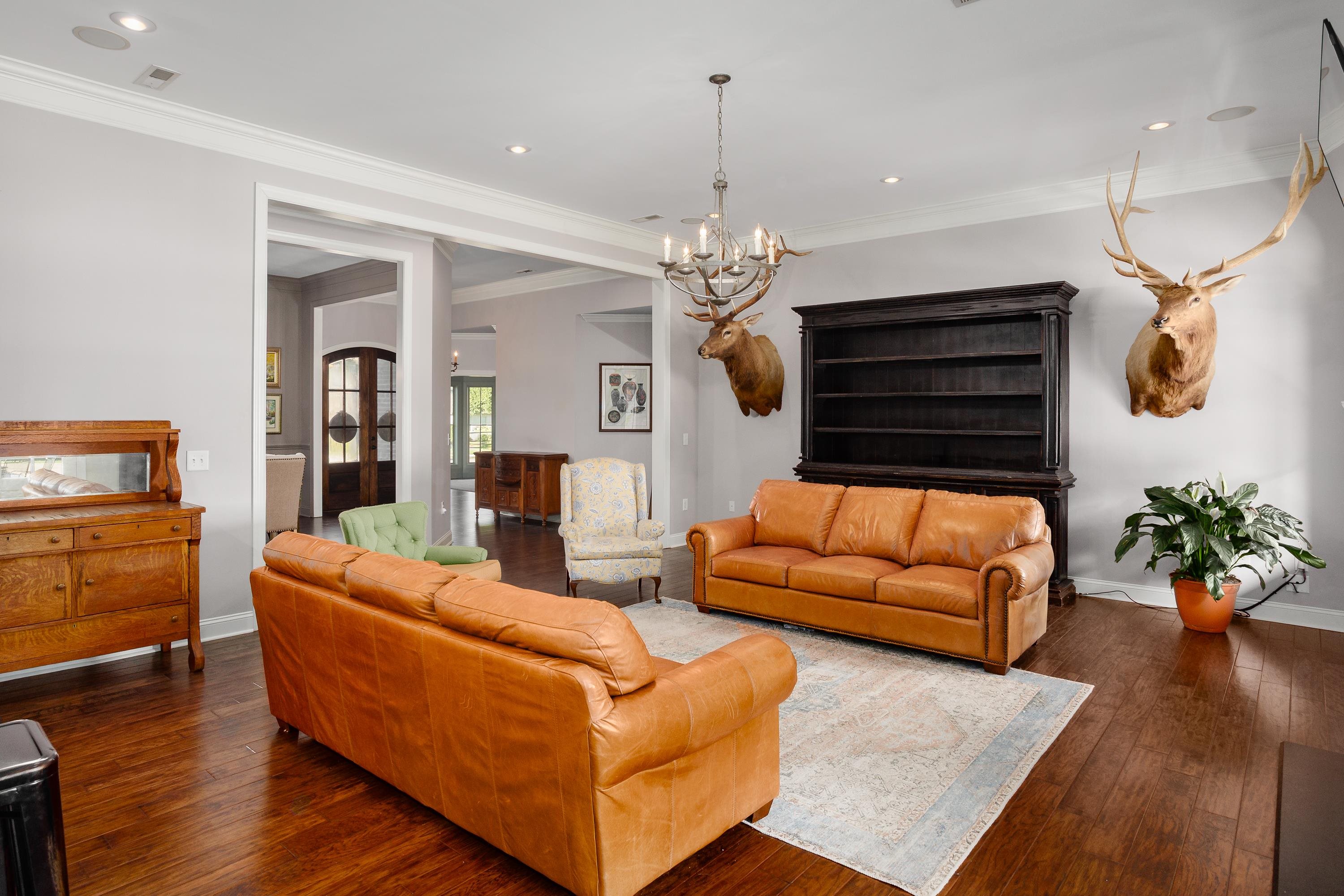 113 Dalton Ln, Tuscumbia, AL 35674 — photo 4