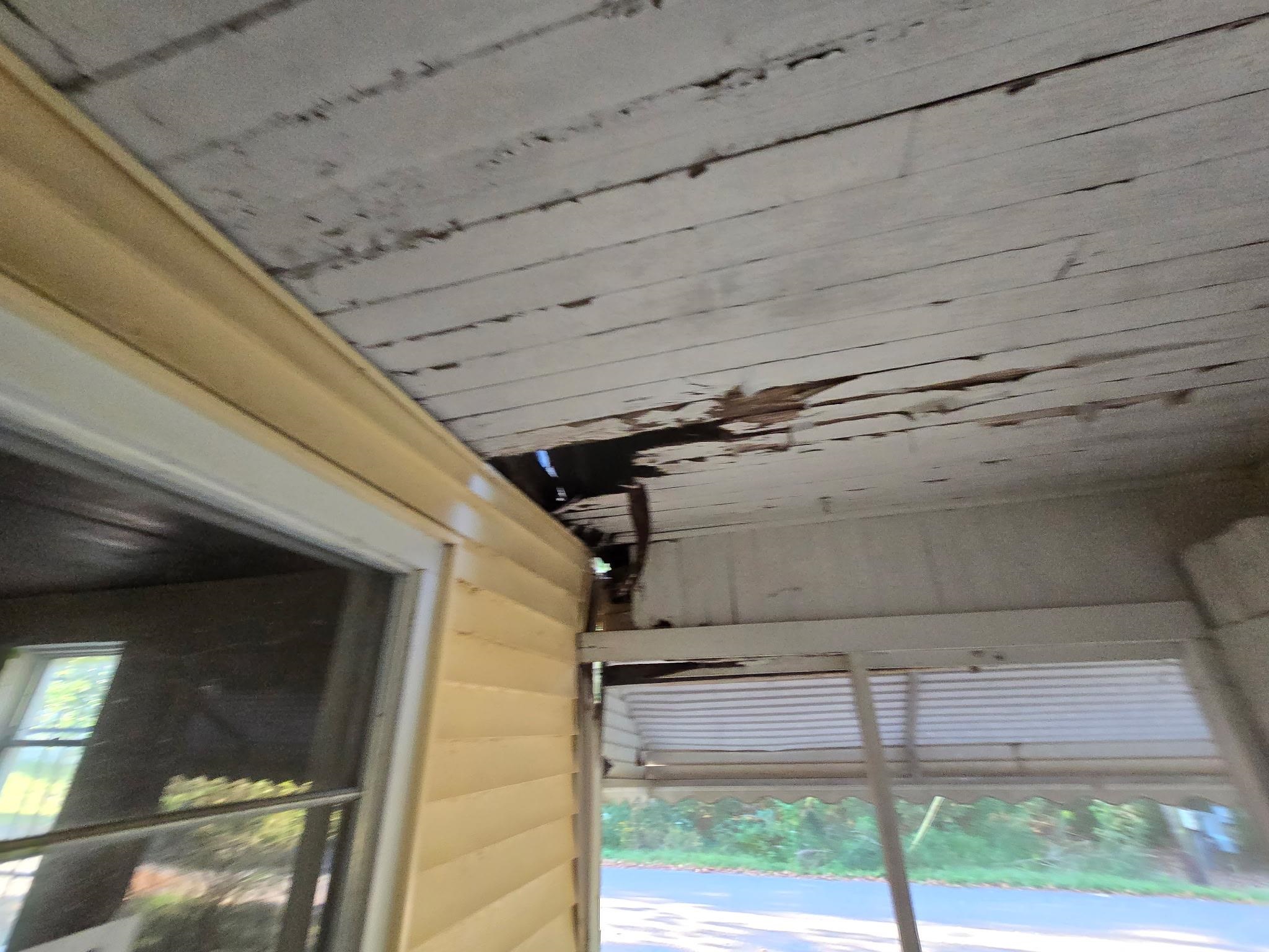 135 Vassar Cir, Montevallo, AL 35115 — photo 6