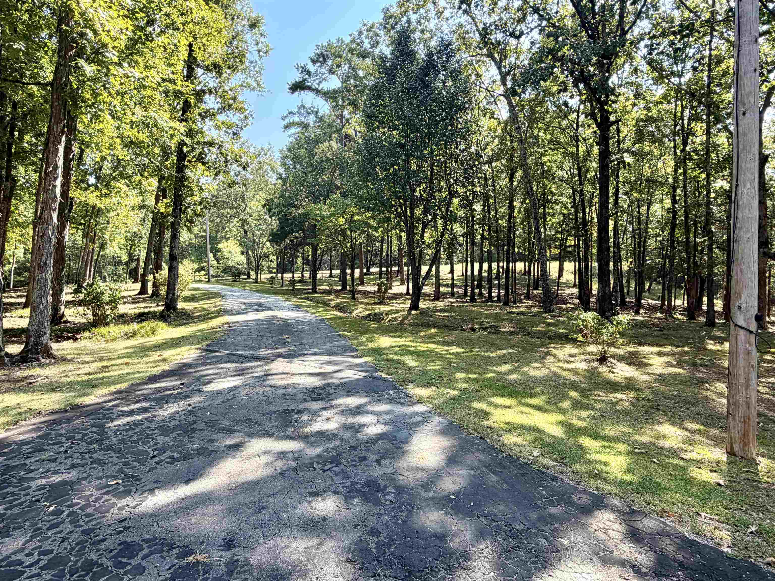 1695 State Line Rd, Cherokee, AL 35616 — photo 7