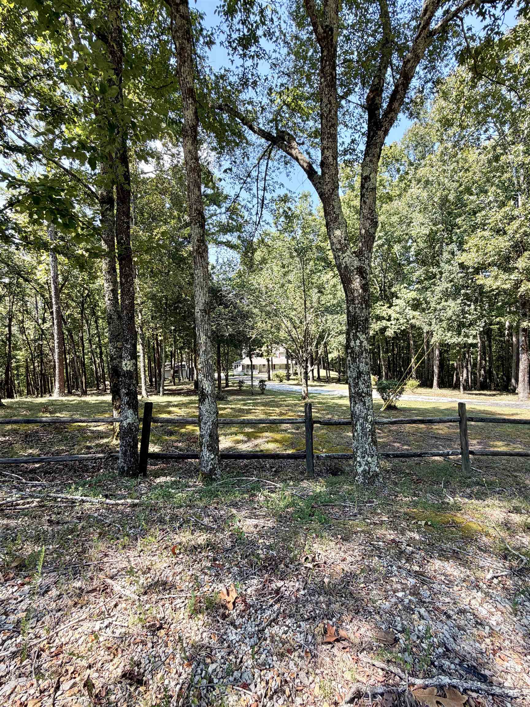 1695 State Line Rd, Cherokee, AL 35616 — photo 8