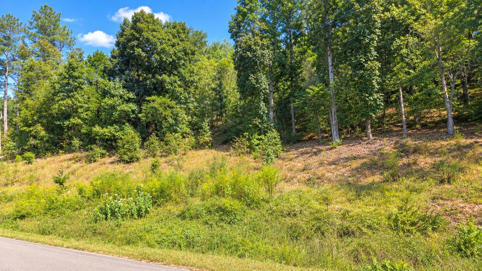 Lot 4 Riverton Rose Tl, Cherokee, AL 35616 — photo 1