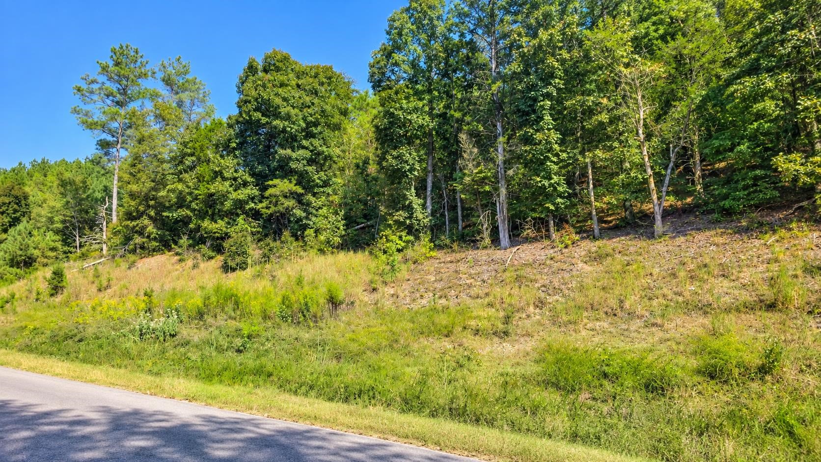 Lot 4 Riverton Rose Tl, Cherokee, AL 35616 — photo 6