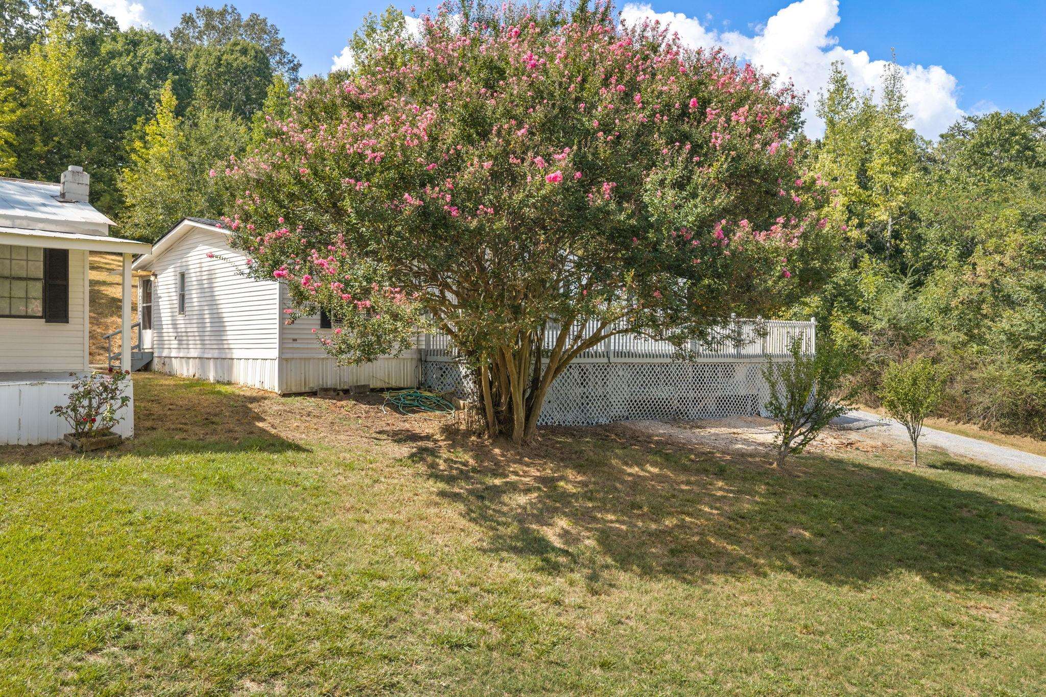 8133 Co Rd 150, Courtland, AL 35618 — photo 4