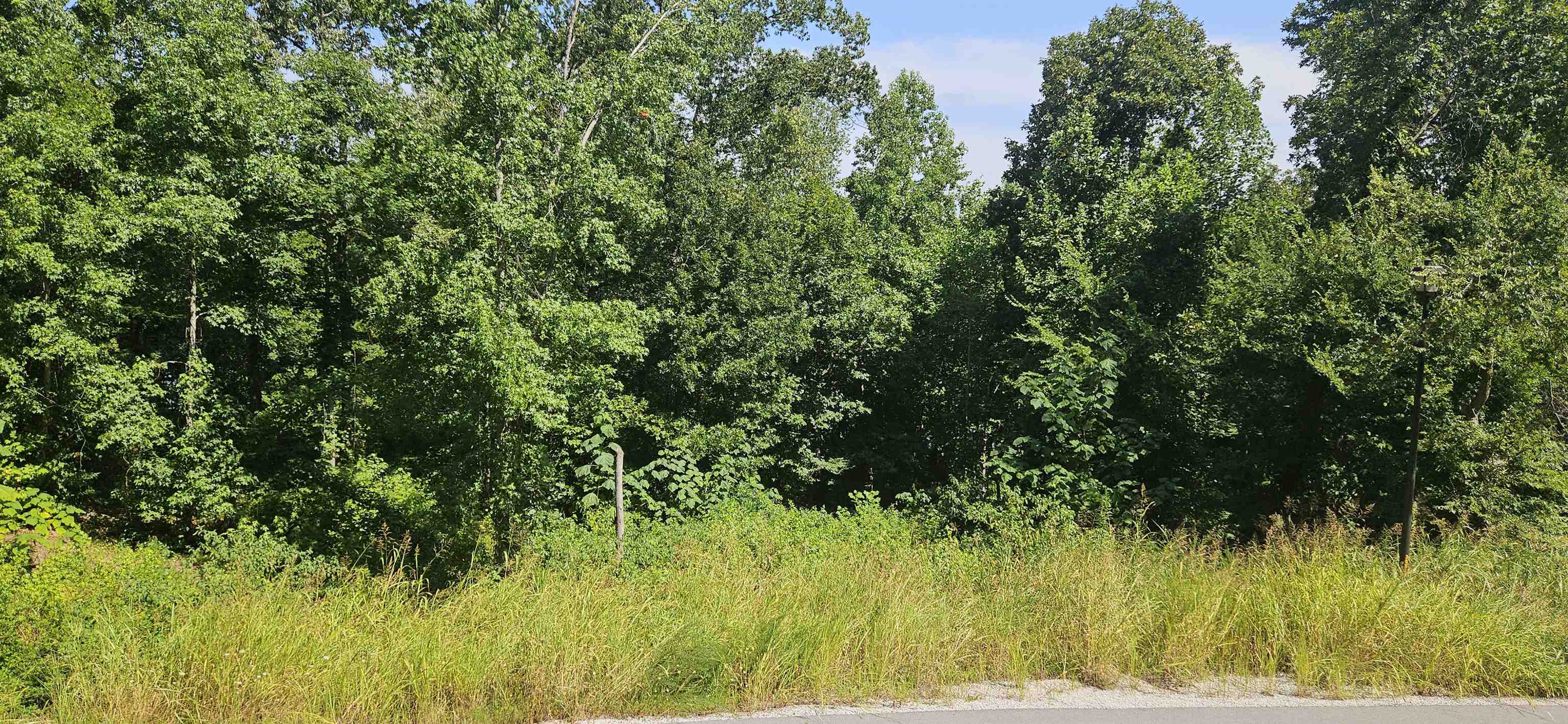 0 Wellington Rdg, Cherokee, AL 35616 — photo 3