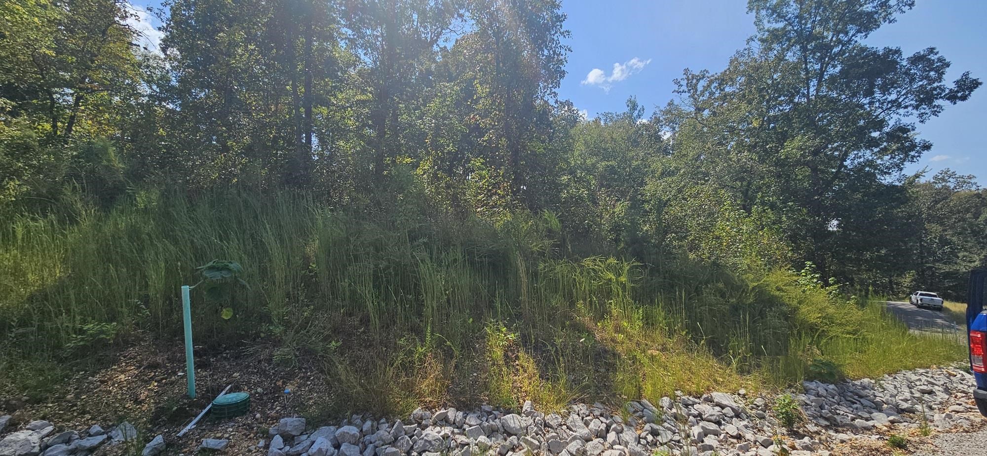 000 Imperial Lp, Cherokee, AL 35616 — photo 4