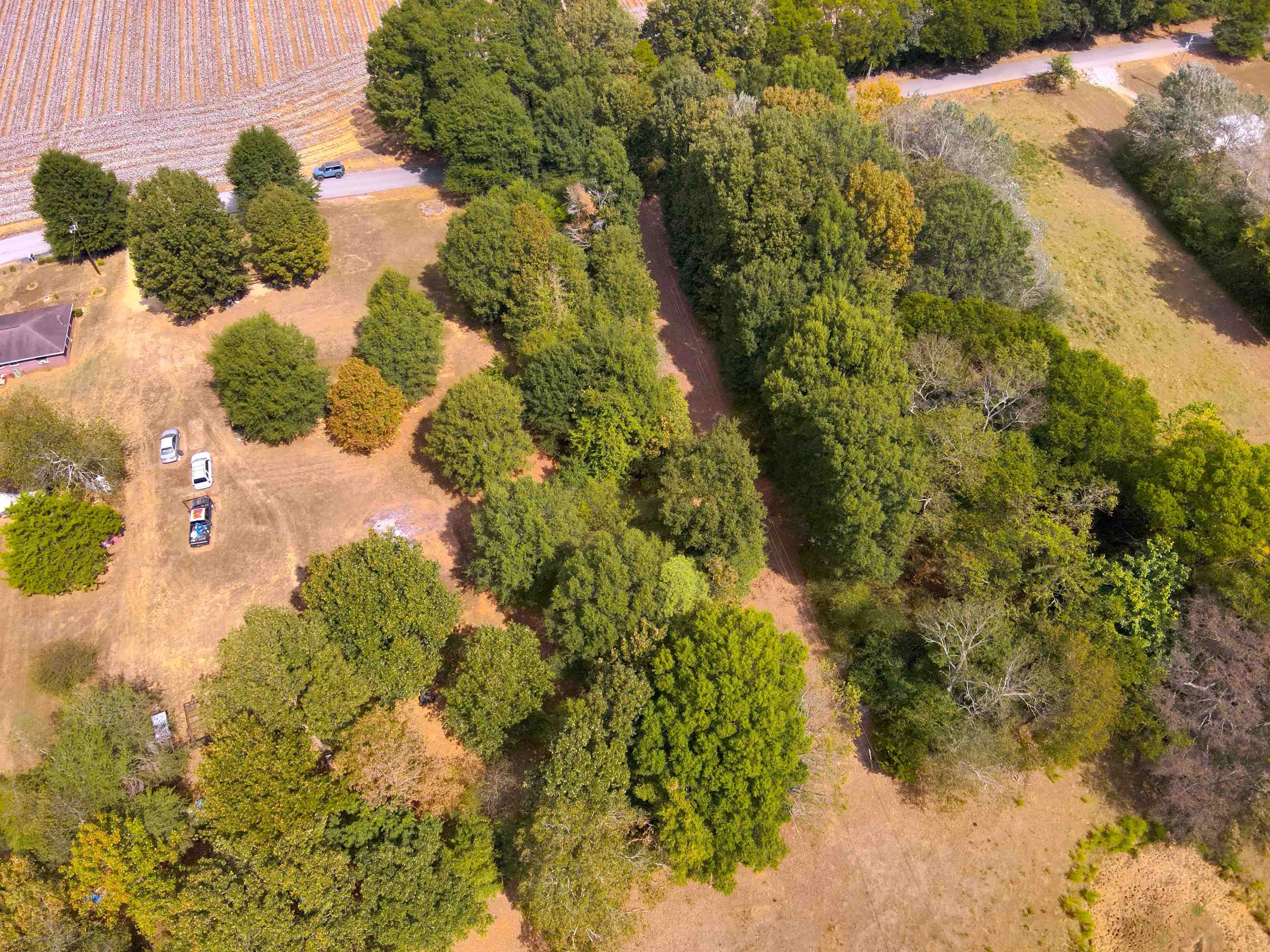 0.43 Acres Co Rd 243, Florence, AL 35633 — photo 11