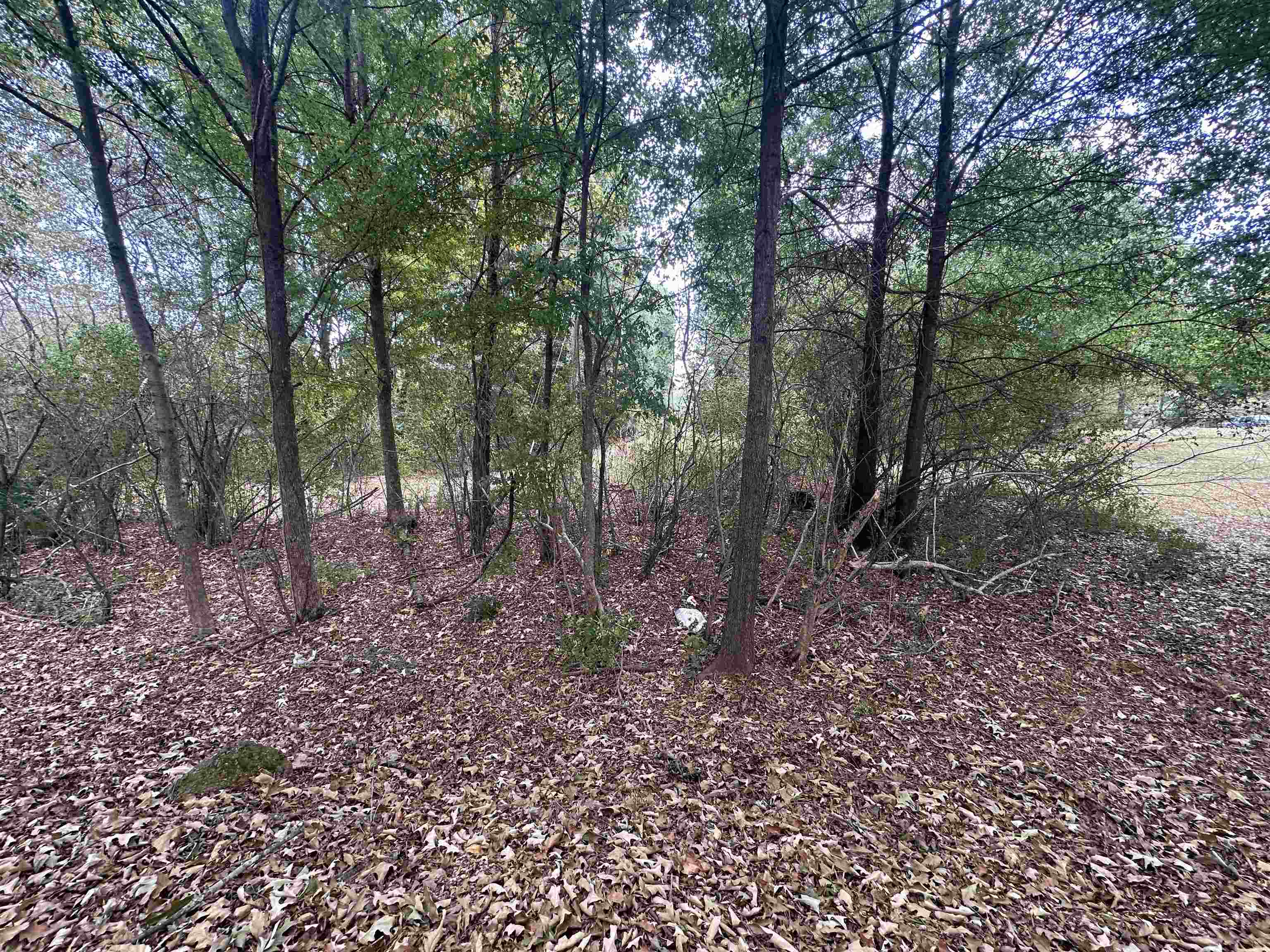 0.43 Acres Co Rd 243, Florence, AL 35633 — photo 12