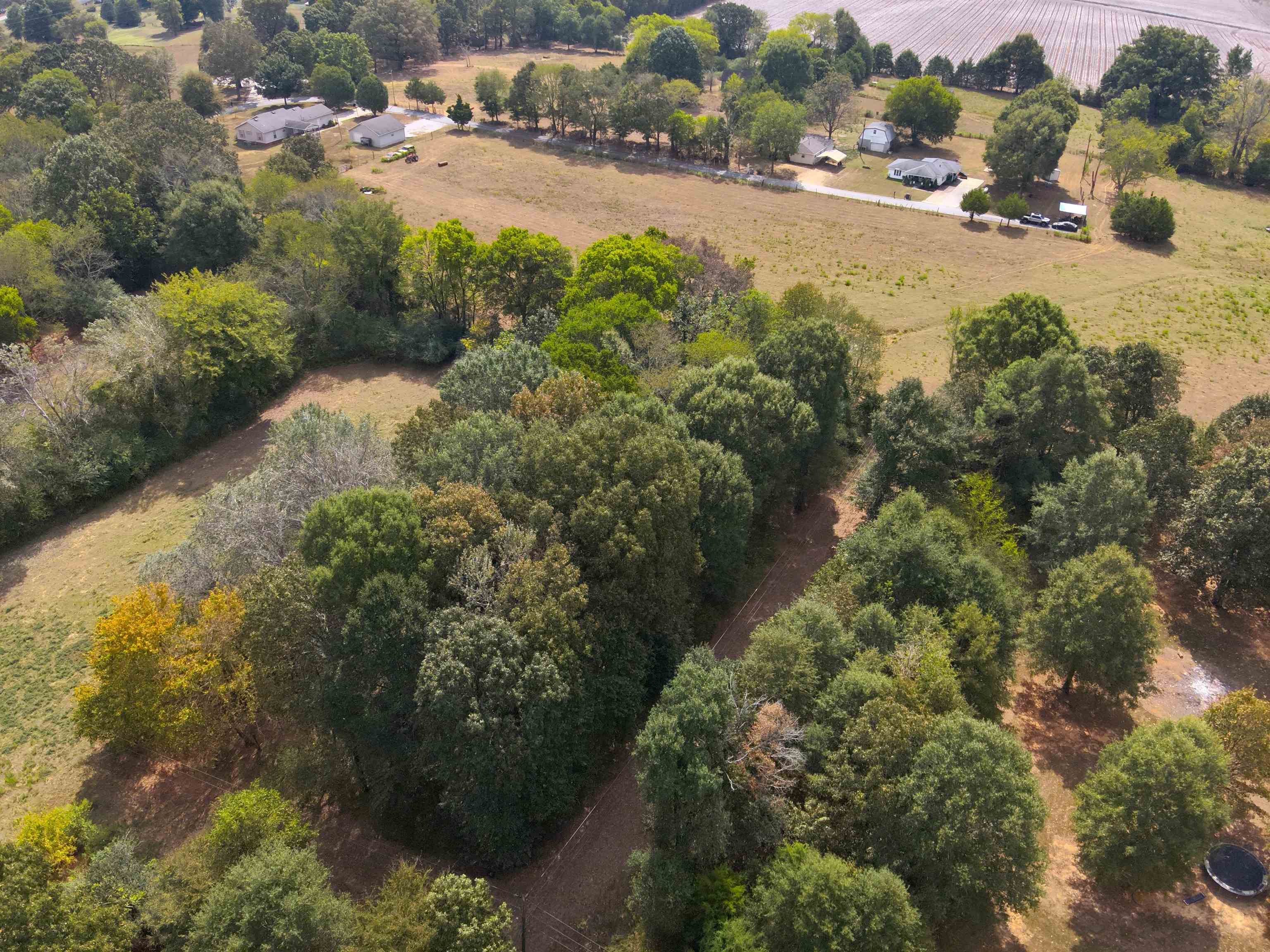 0.43 Acres Co Rd 243, Florence, AL 35633 — photo 3