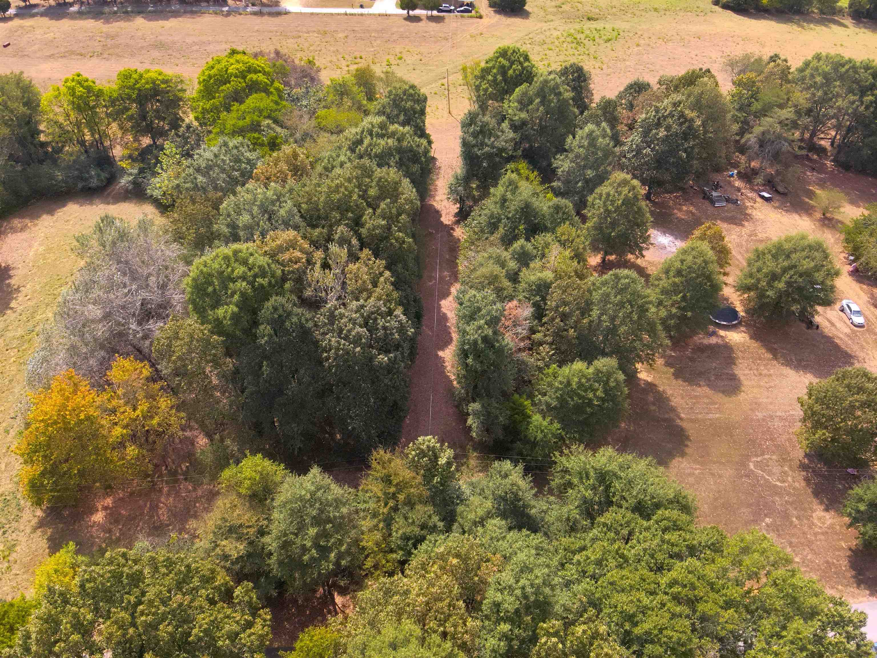 0.43 Acres Co Rd 243, Florence, AL 35633 — photo 4