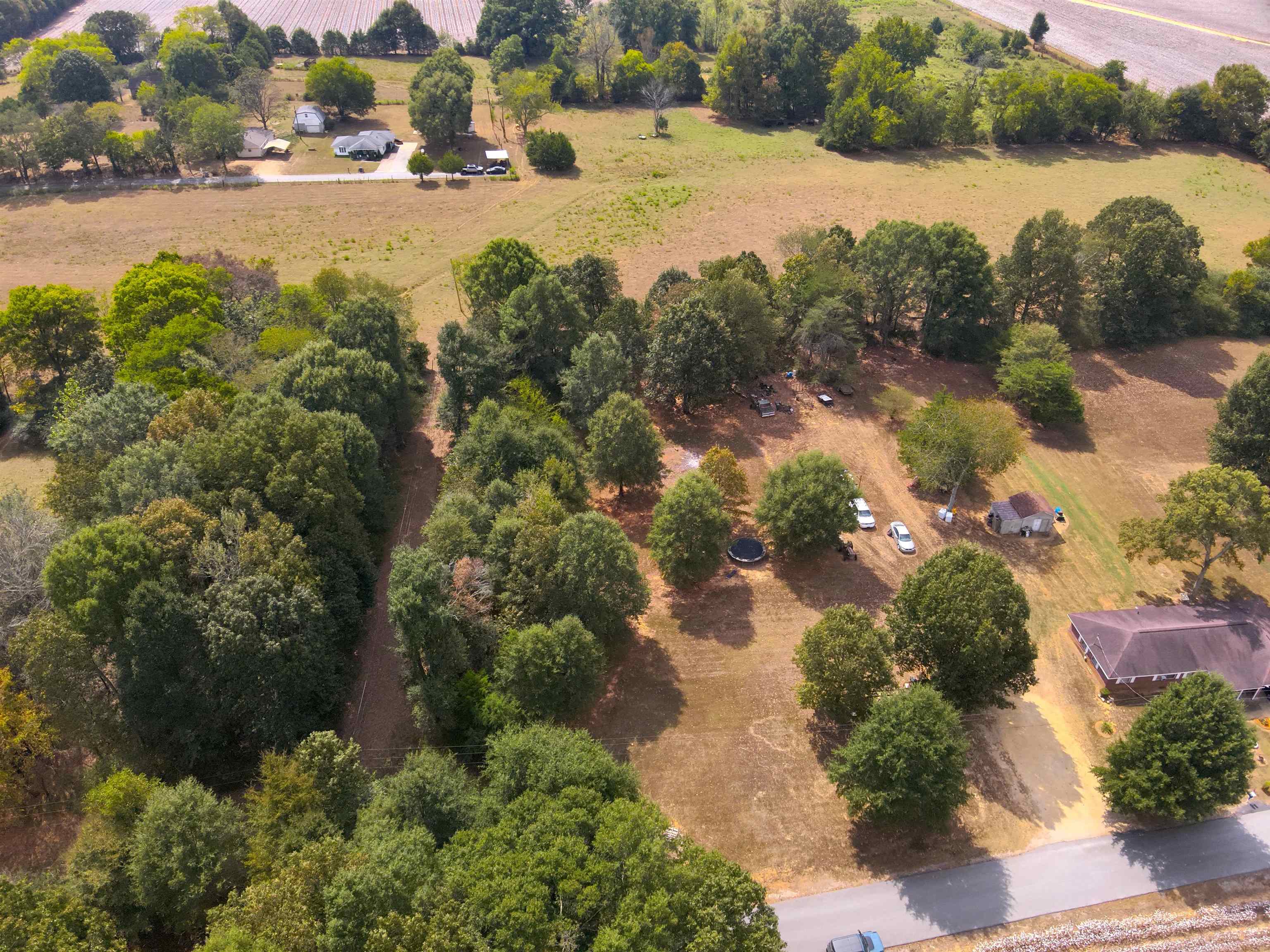 0.43 Acres Co Rd 243, Florence, AL 35633 — photo 5