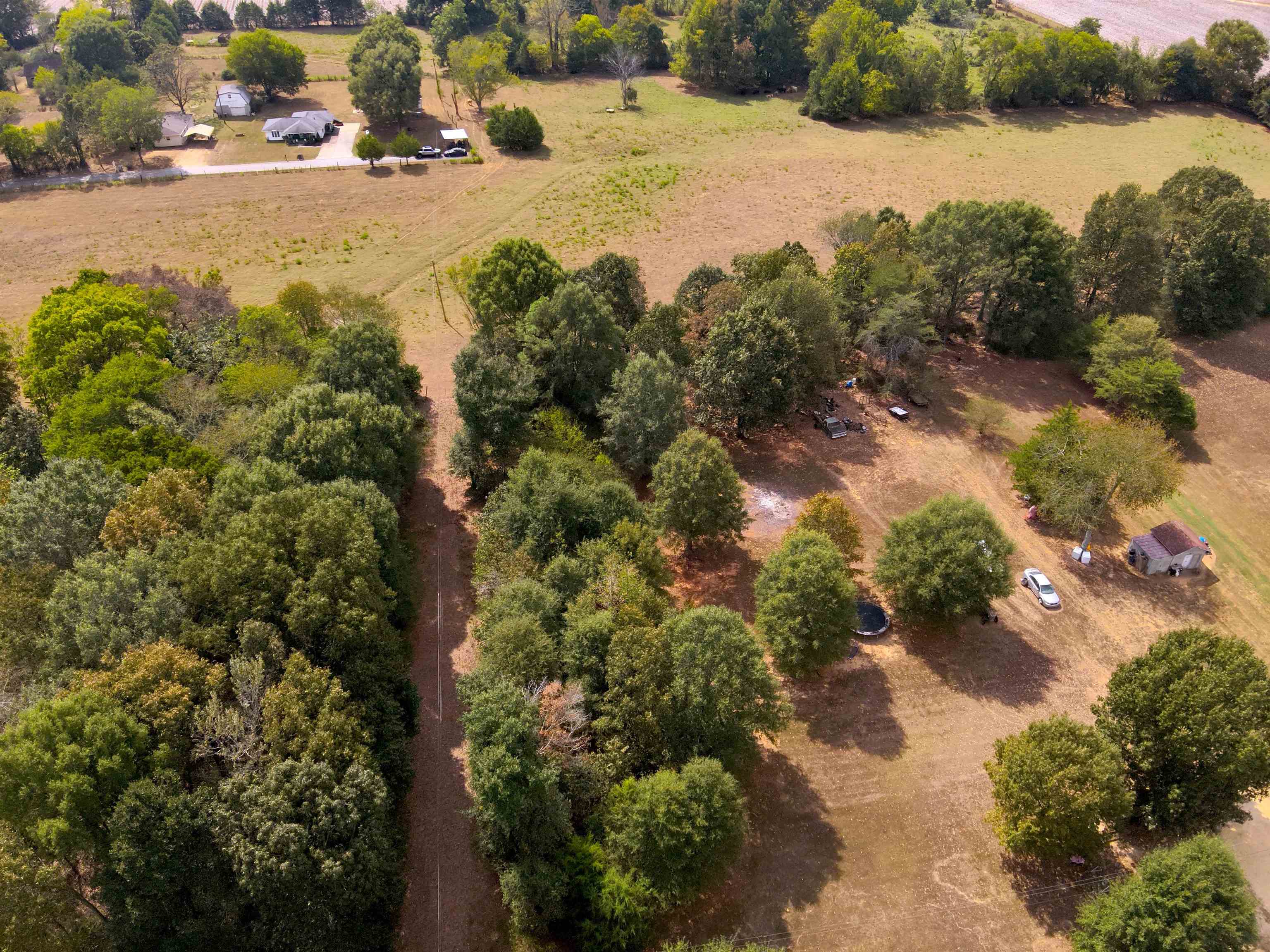 0.43 Acres Co Rd 243, Florence, AL 35633 — photo 6