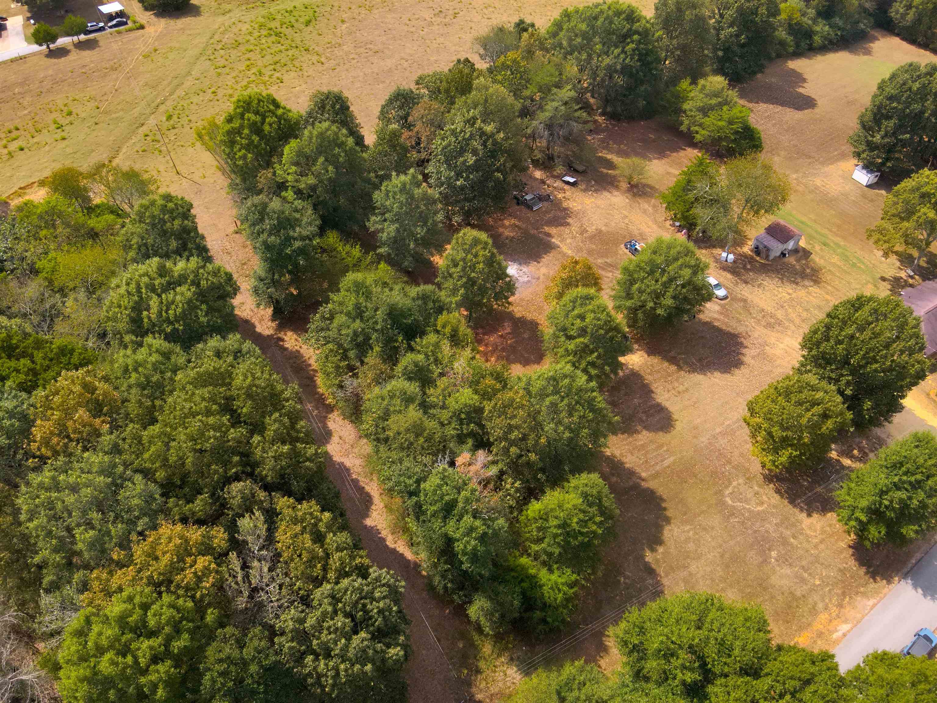 0.43 Acres Co Rd 243, Florence, AL 35633 — photo 7