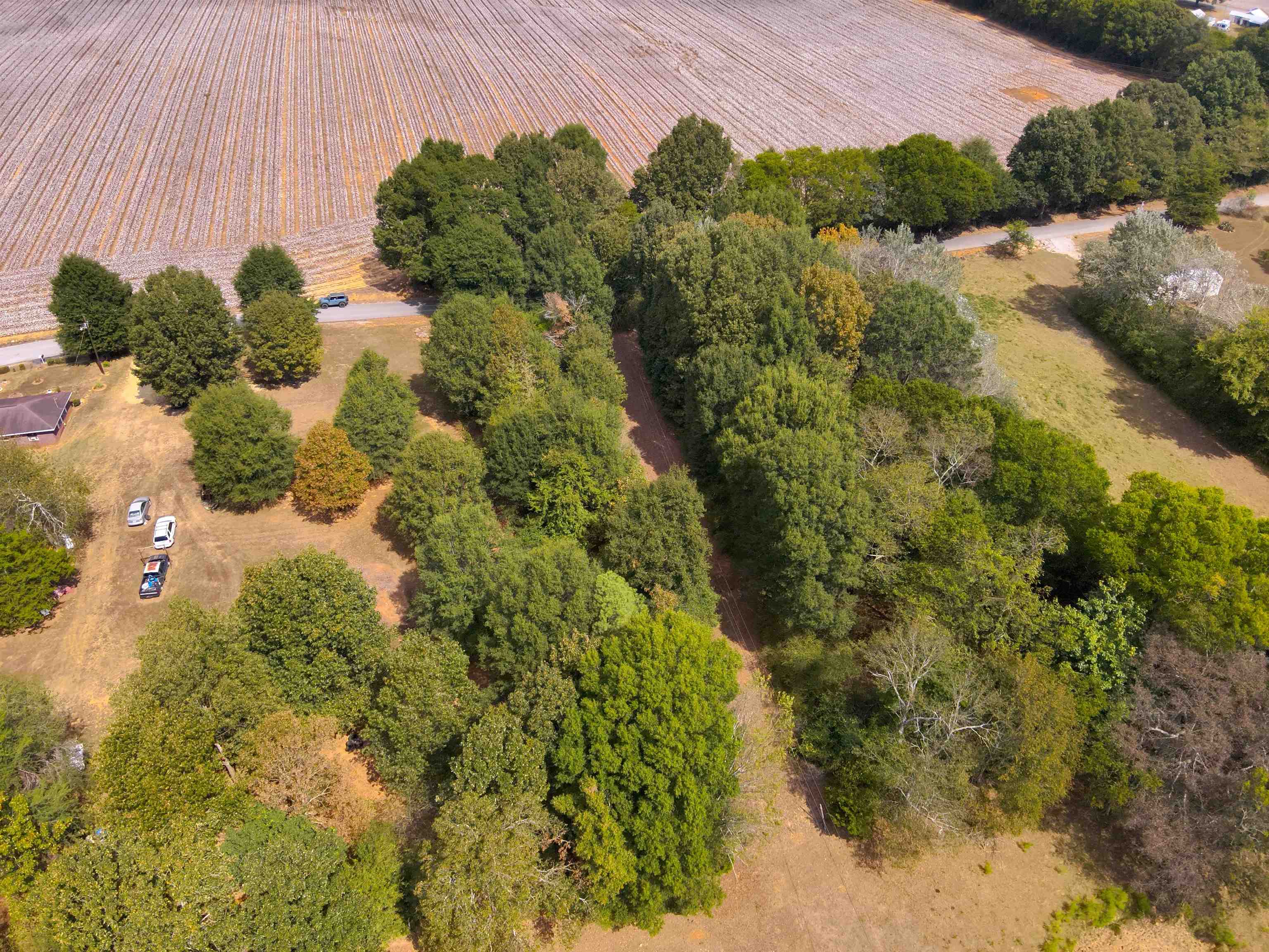 0.43 Acres Co Rd 243, Florence, AL 35633 — photo 8