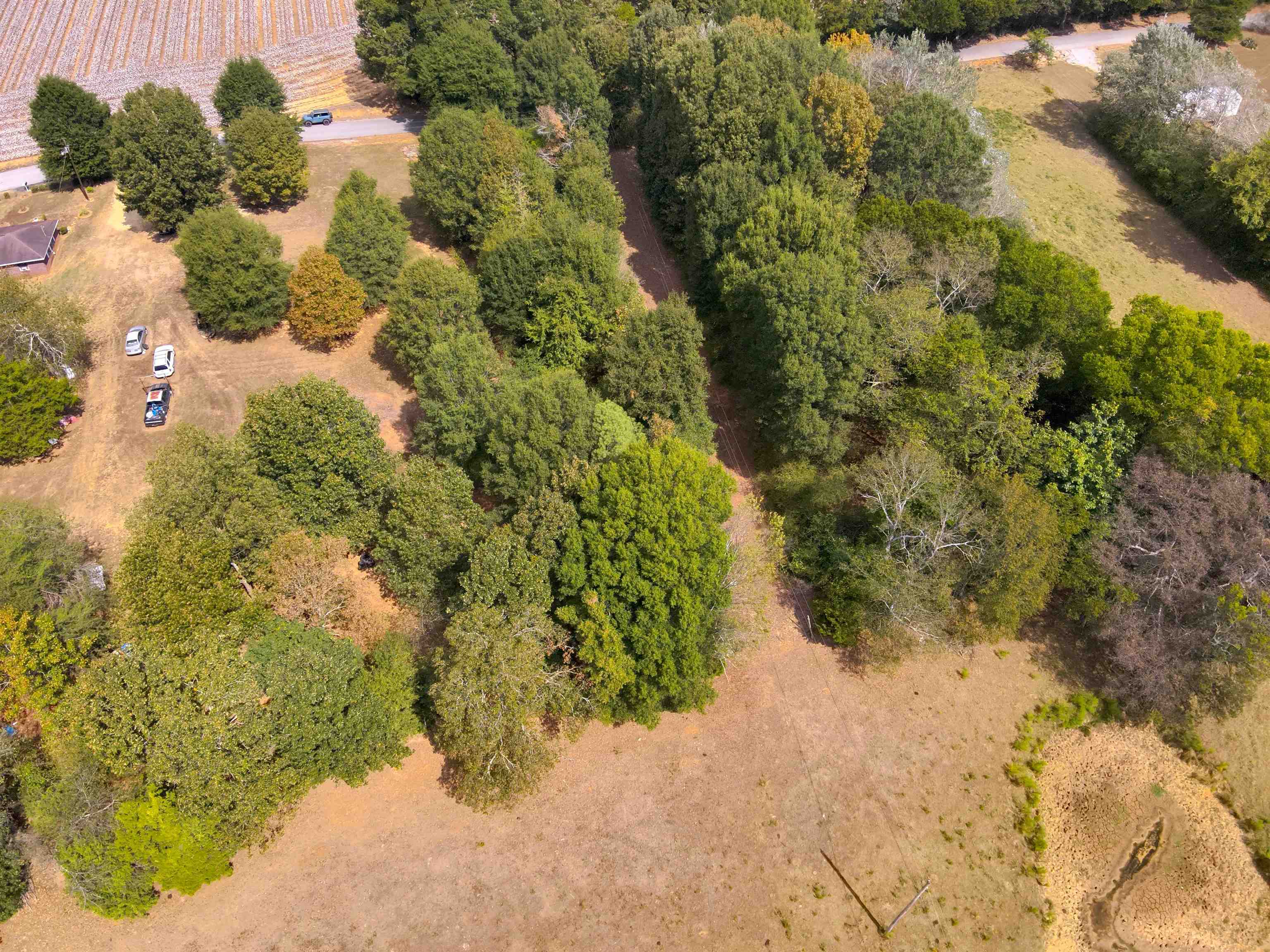 0.43 Acres Co Rd 243, Florence, AL 35633 — photo 9