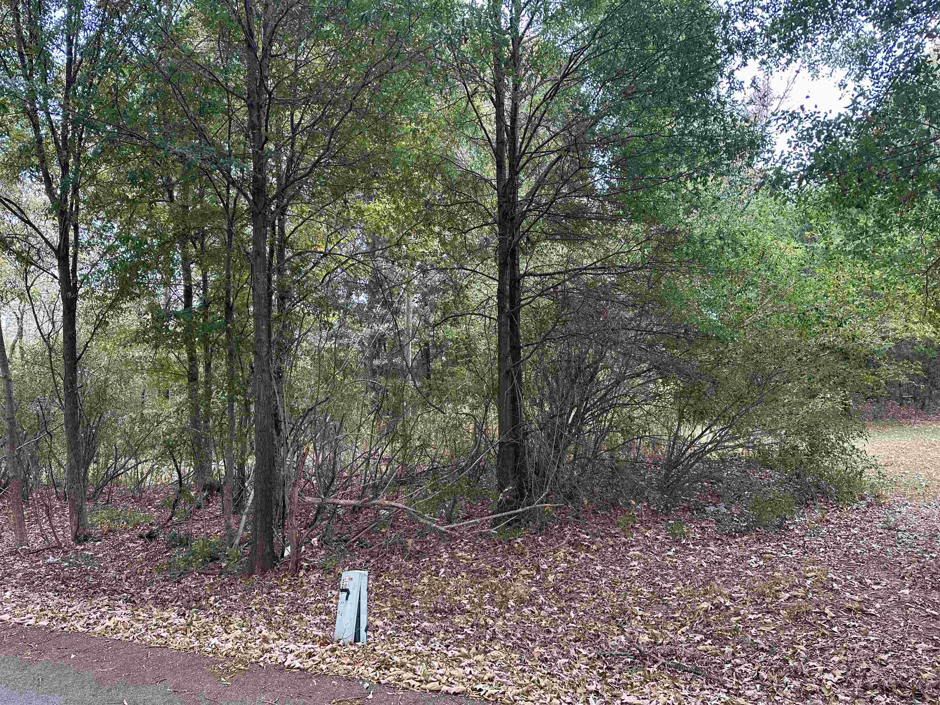 0.43 Acres Co Rd 243, Florence, AL 35633 — photo 10