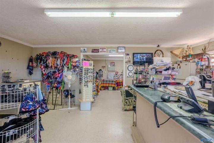 4274 Hwy 101, Rogersville, AL 35652 — photo 5