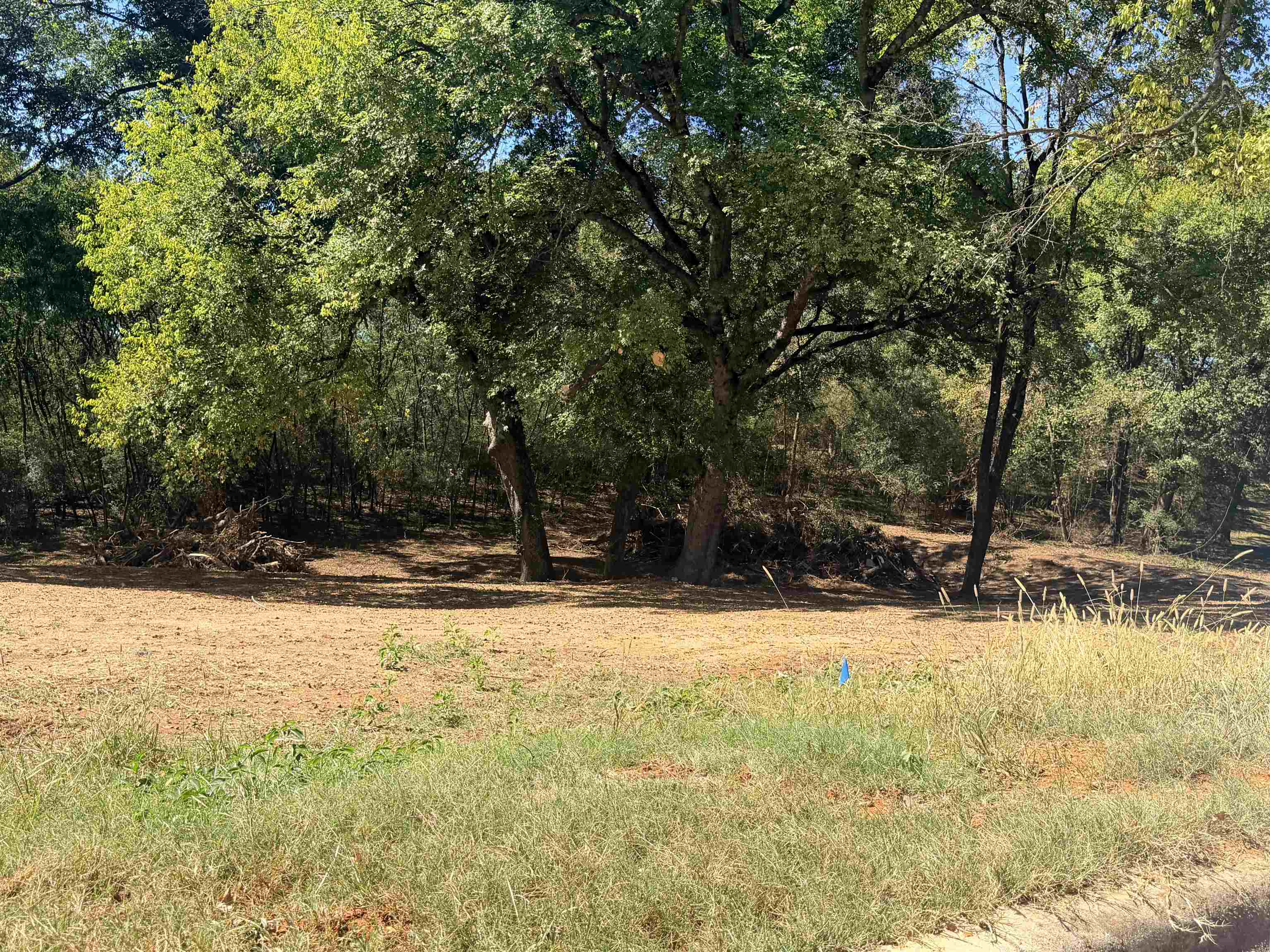 325 Cherokee St, Florence, AL 35630 — photo 11