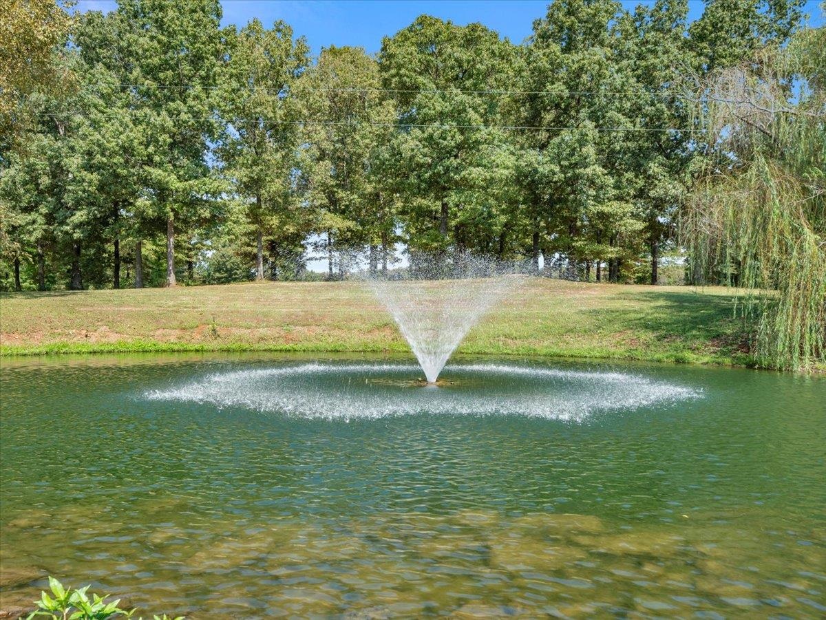 12100 Two Rivers Dr, Athens, AL 35611 — photo 6