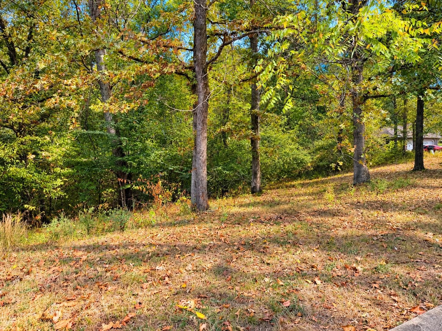 0 Wildwood Trl, Florence, AL 35630 — photo 1