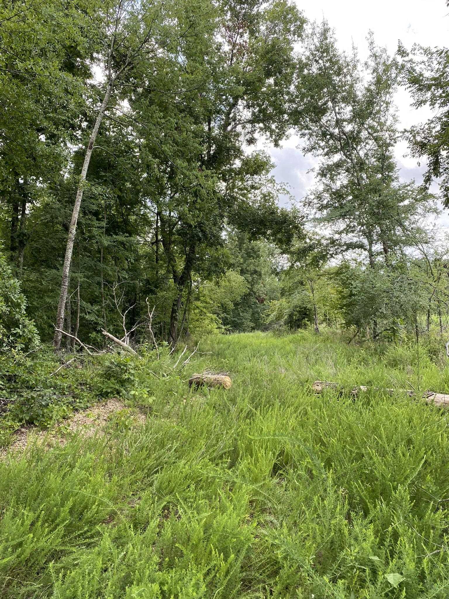 0 Co Rd 90, Waterloo, AL 35677 — photo 11