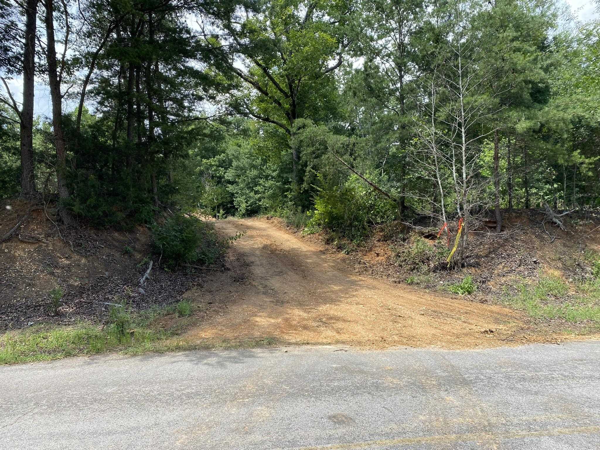 0 Co Rd 90, Waterloo, AL 35677 — photo 5