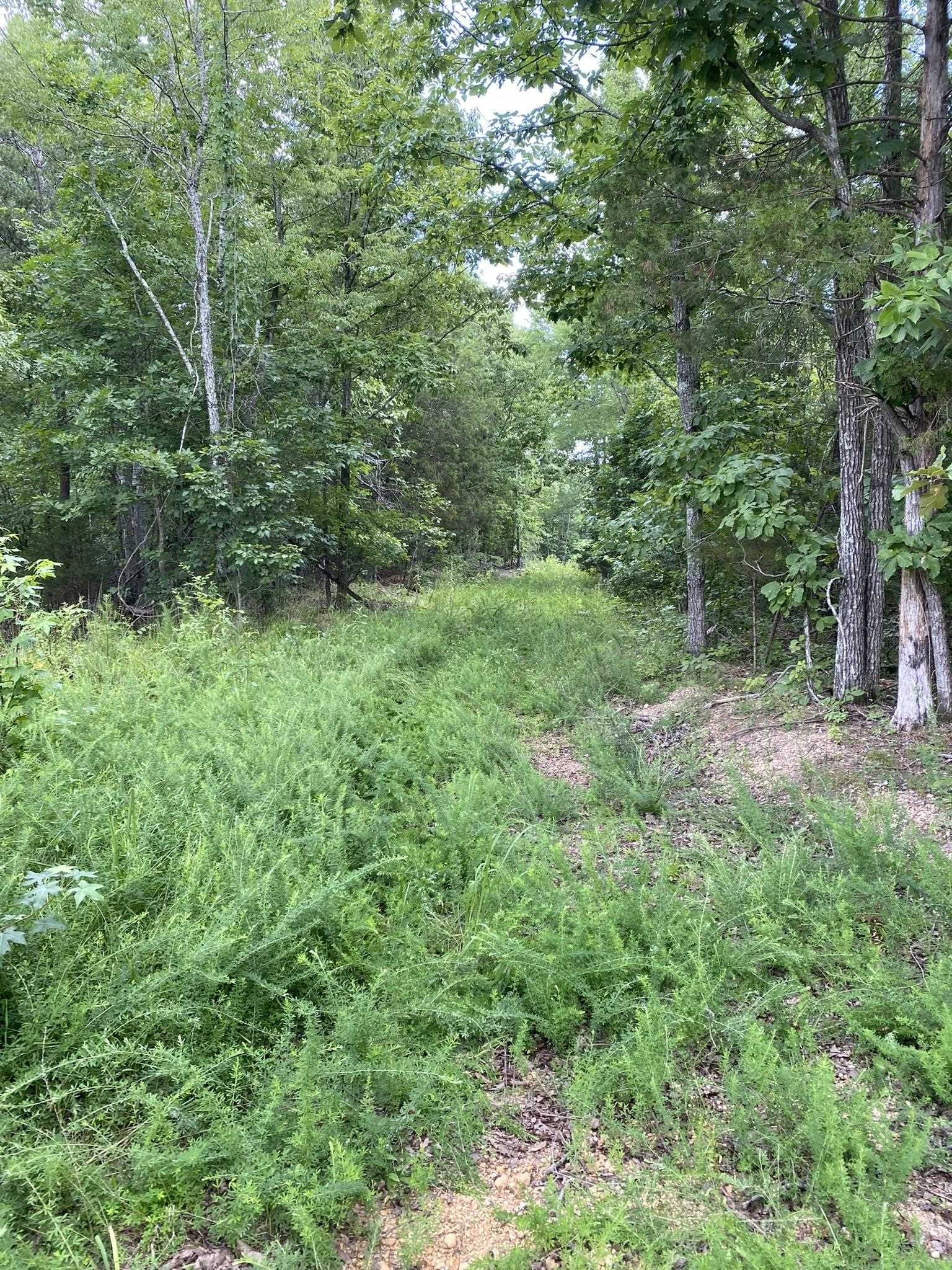 0 Co Rd 90, Waterloo, AL 35677 — photo 10