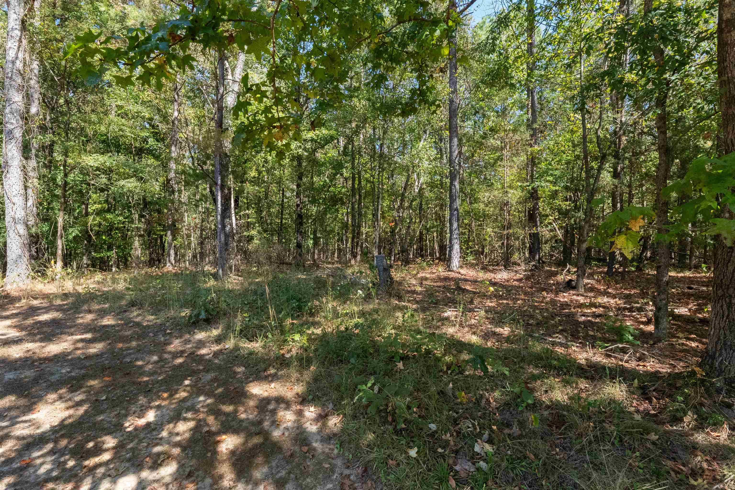 2051 Co Rd 346, Florence, AL 35634 — photo 2