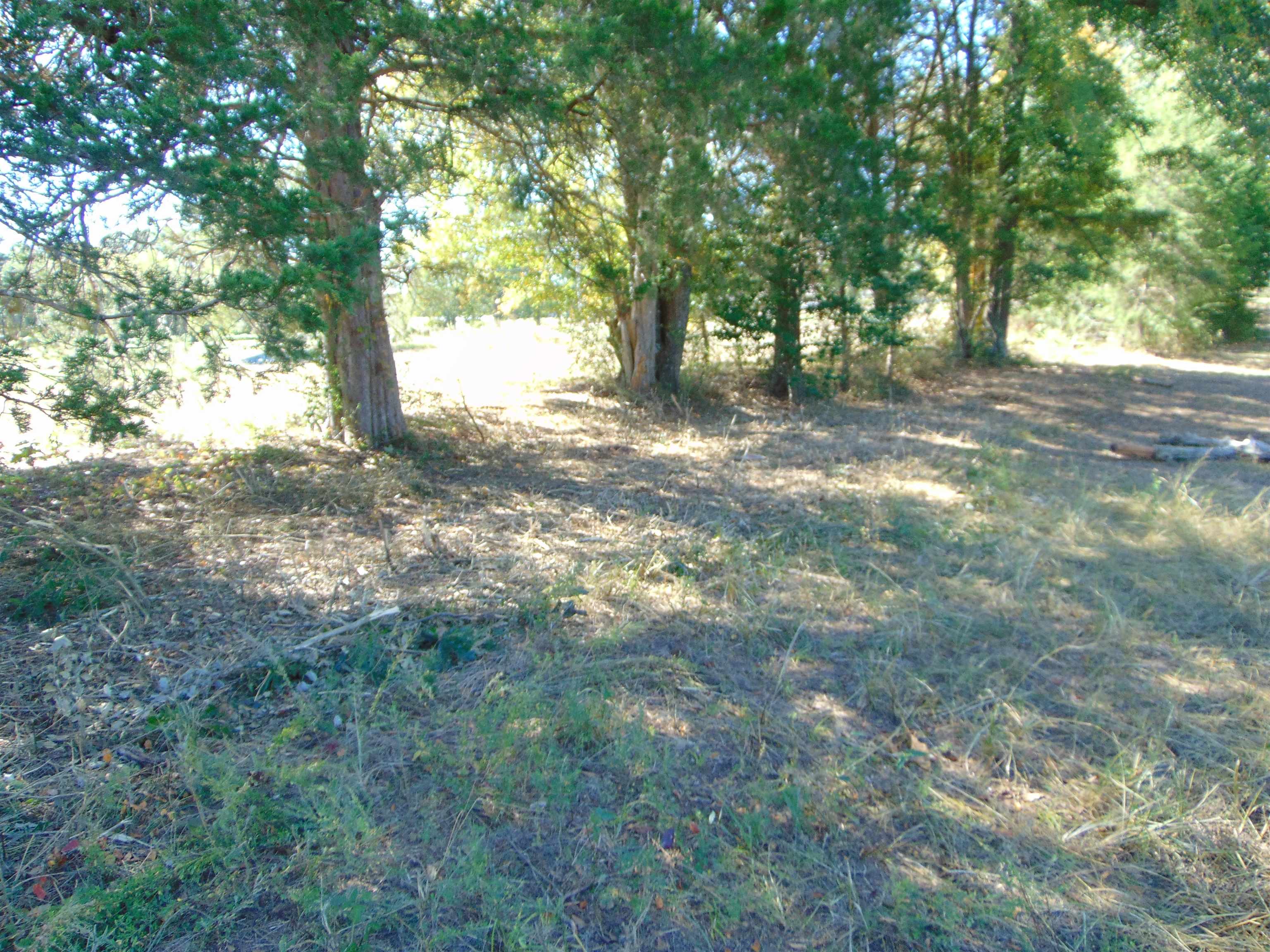 7761 Co Rd 200, Florence, AL 35633 — photo 1