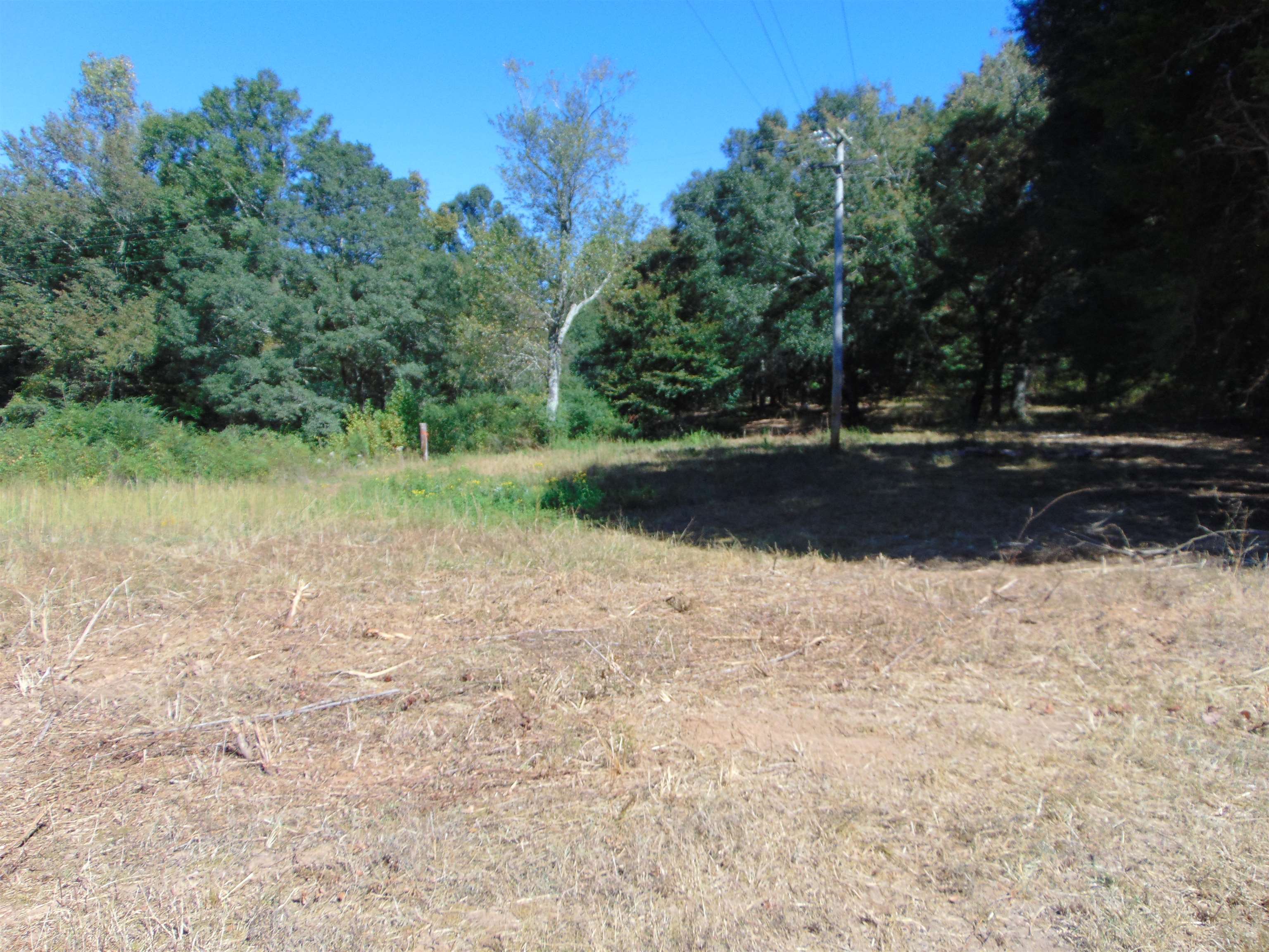 7761 Co Rd 200, Florence, AL 35633 — photo 2
