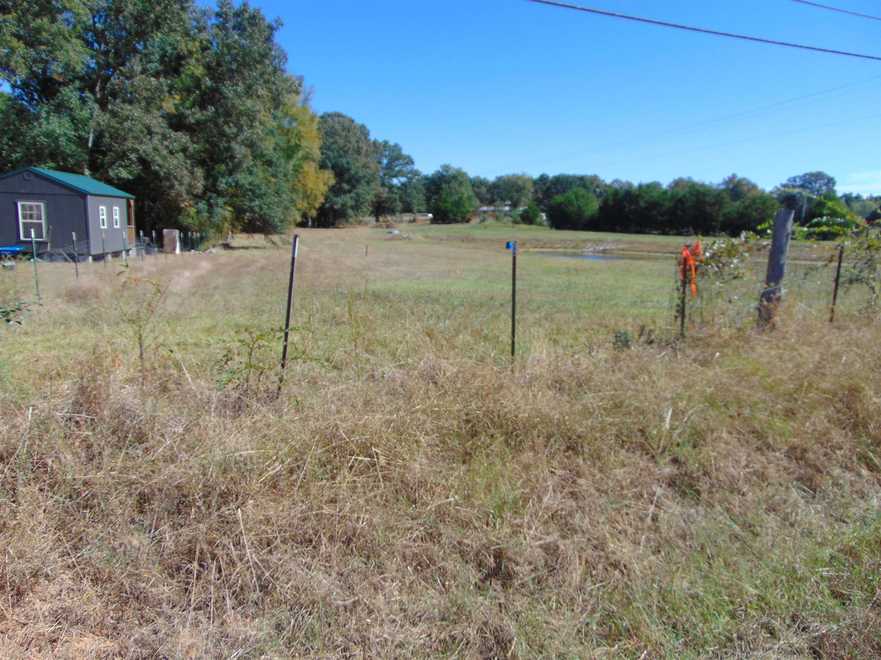 7761 Co Rd 200, Florence, AL 35633 — photo 6
