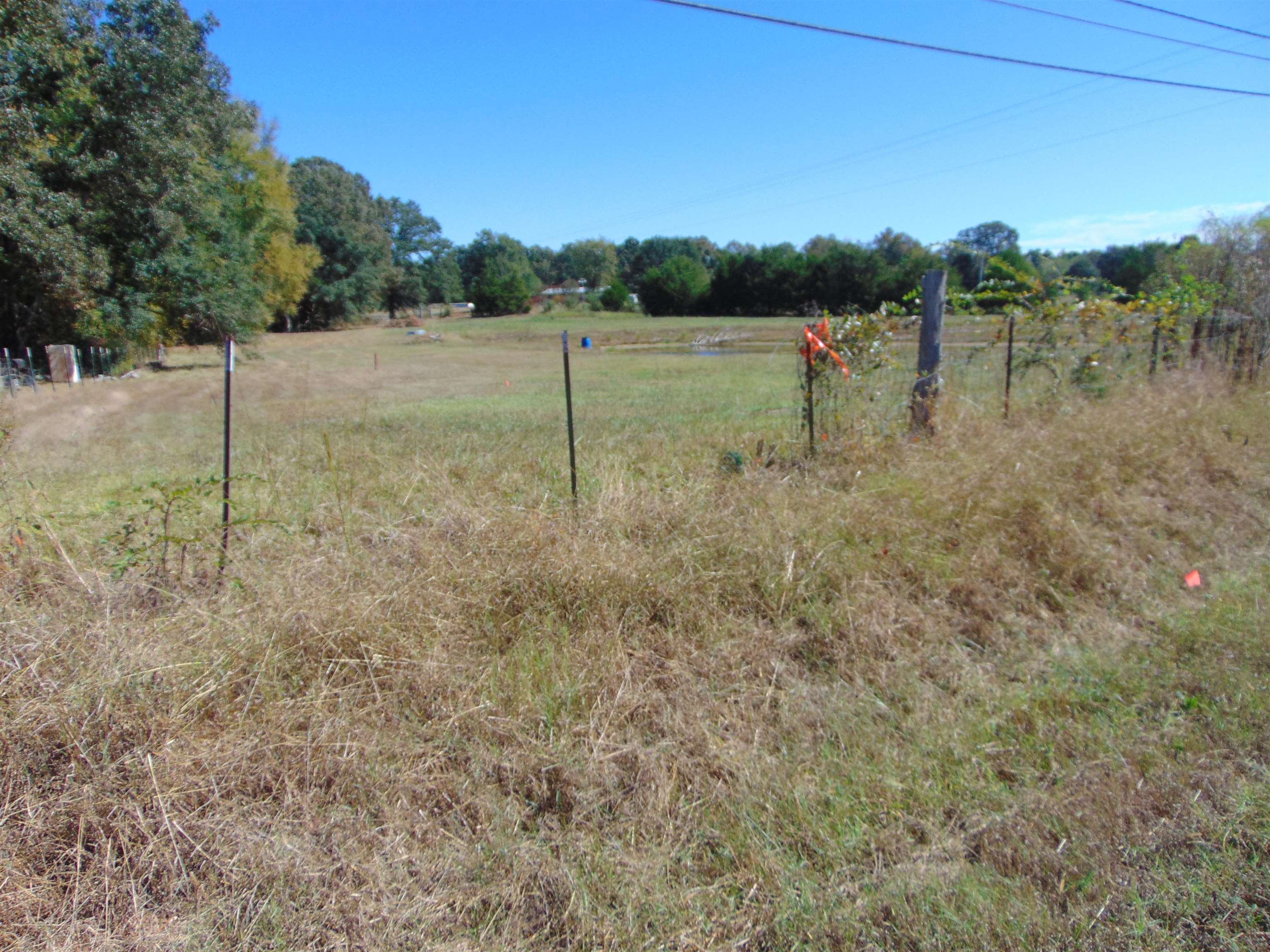 7761 Co Rd 200, Florence, AL 35633 — photo 10
