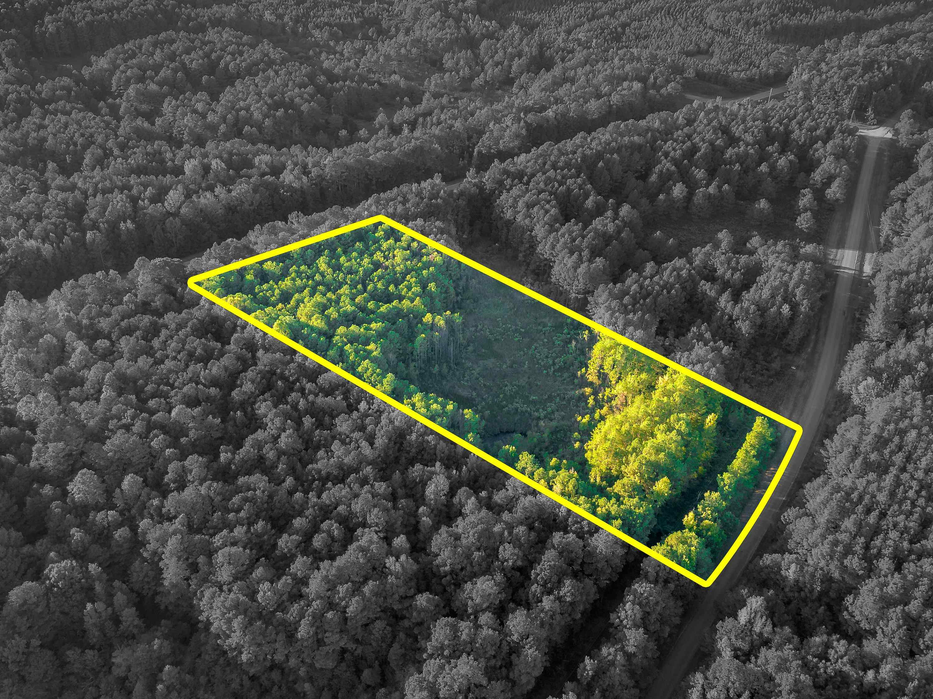 01 Hwy 13, Eldridge, AL 35554 — photo 11